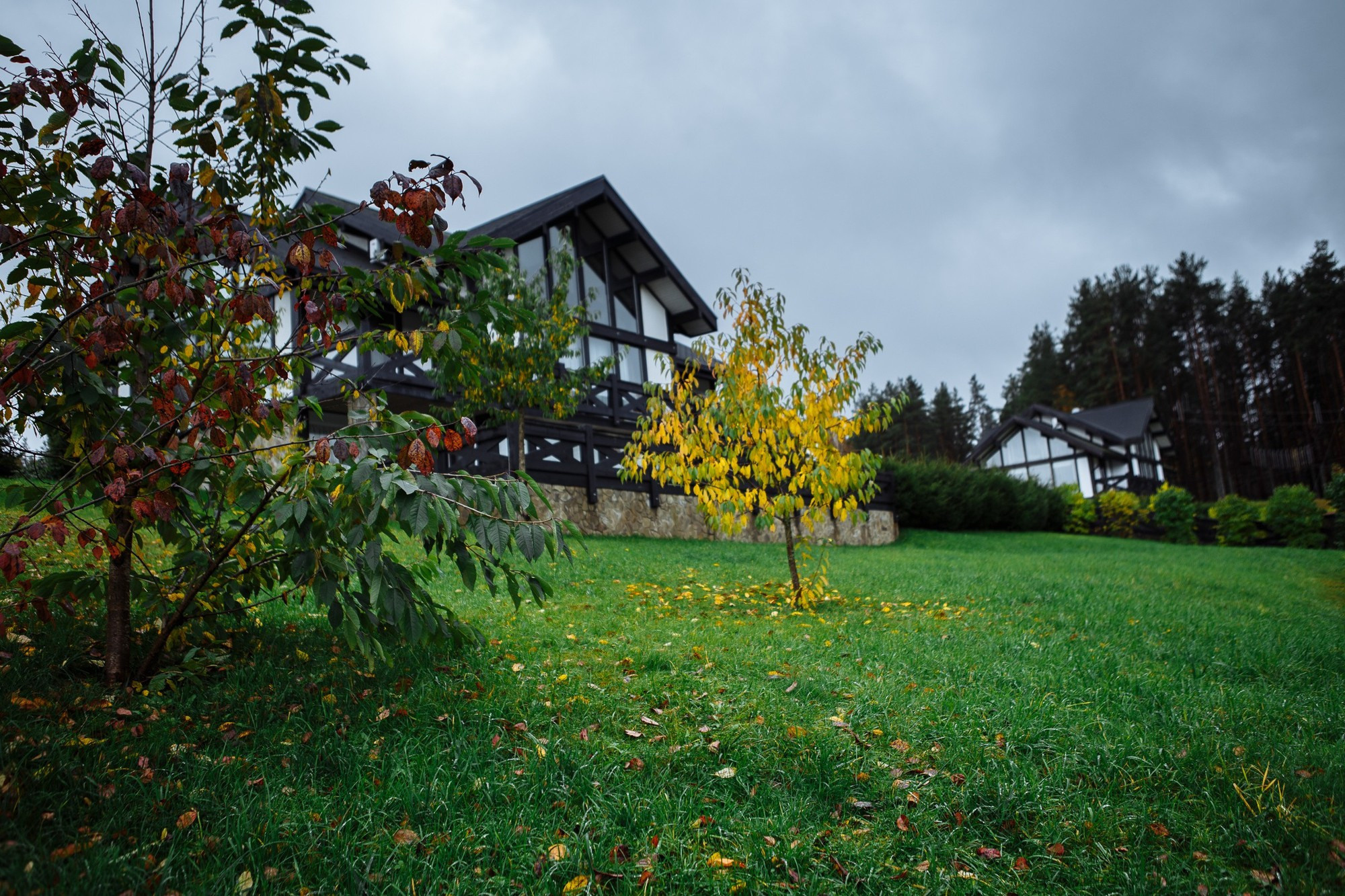 Свадебная фотосъемка, видео, свадебный фотограф, фотограф видеограф