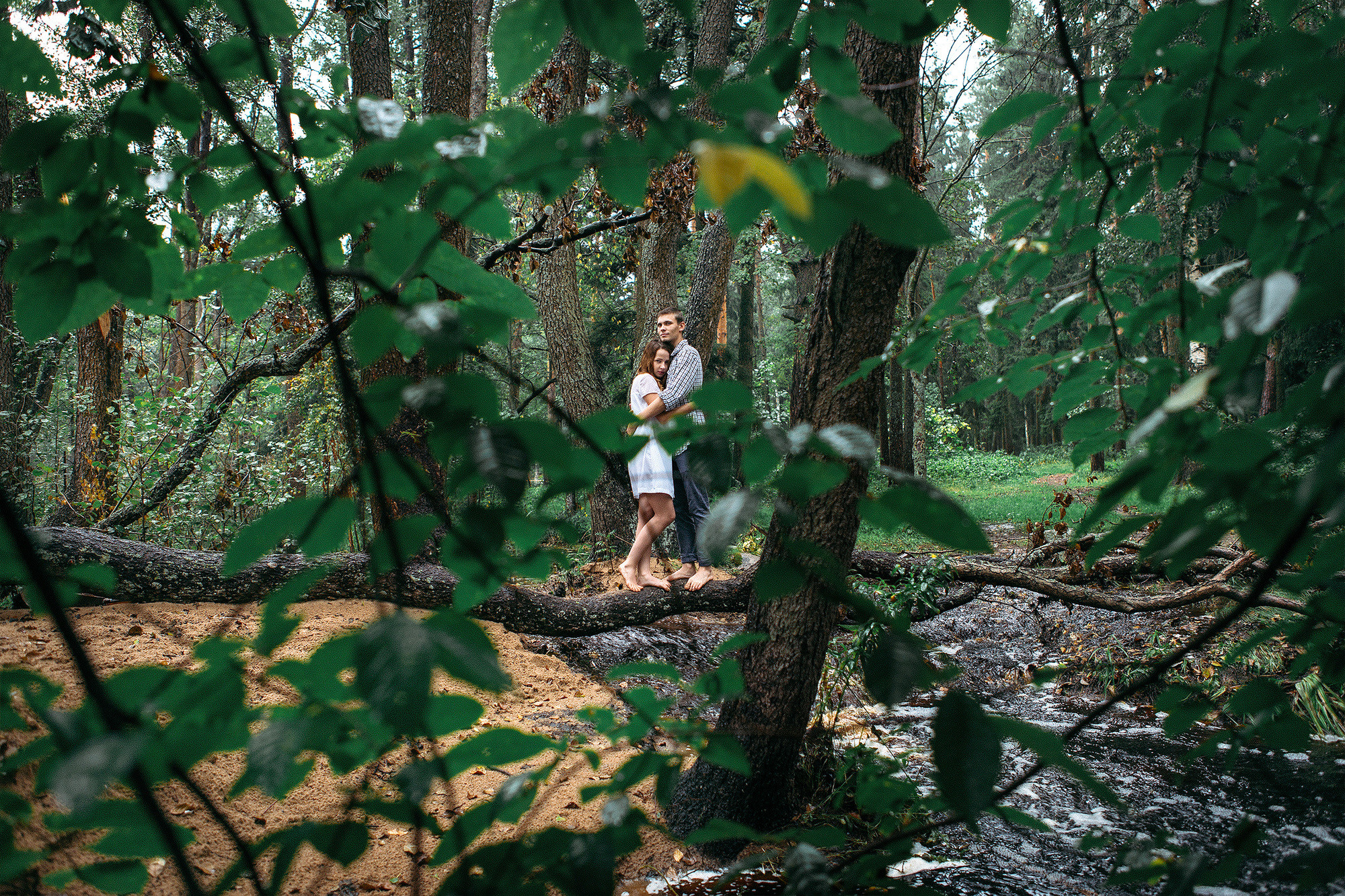 Лавстори на природе - удивительные кадры под дождём