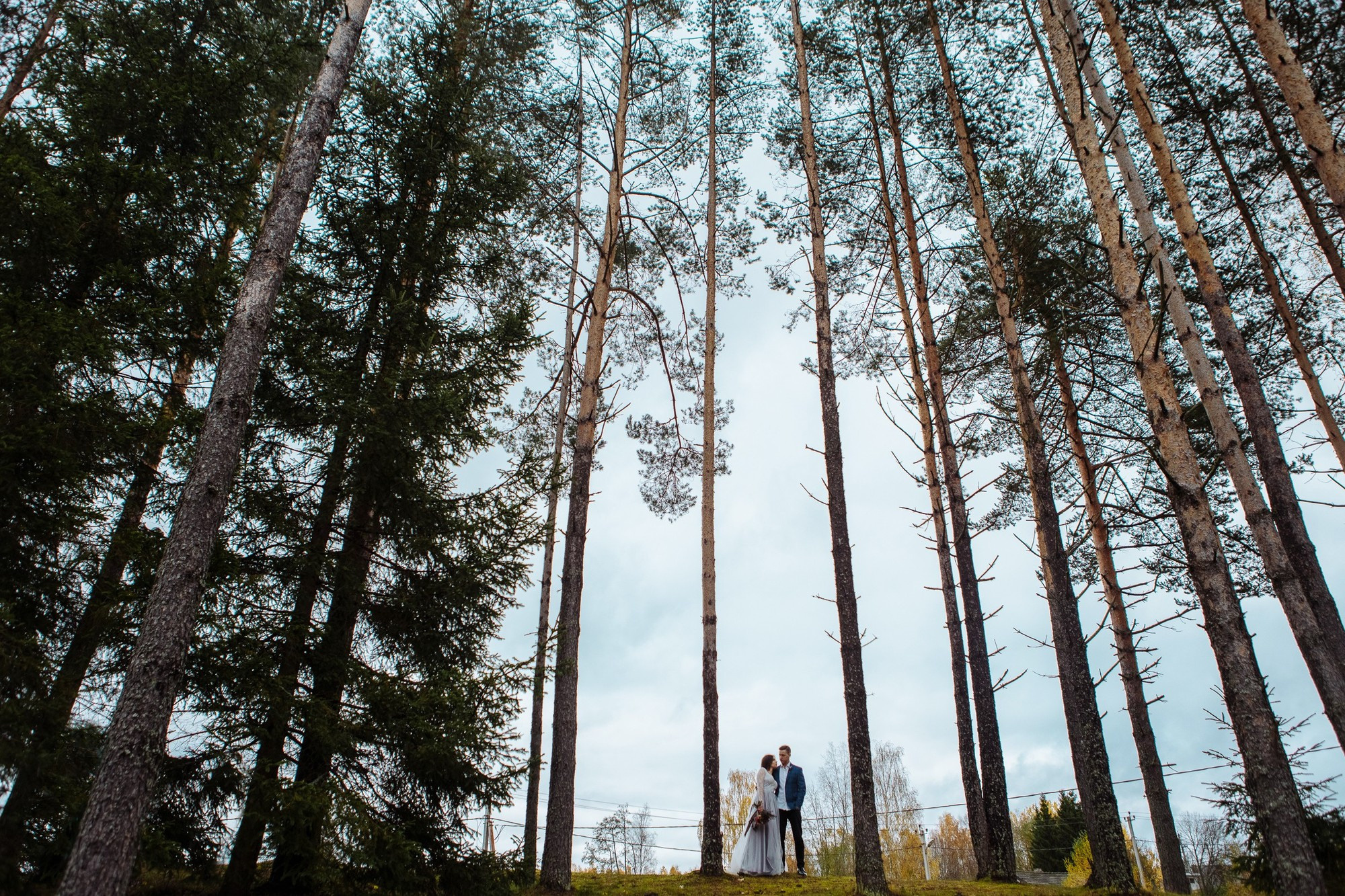 Свадебная фотосъемка, видео, свадебный фотограф, фотограф видеограф