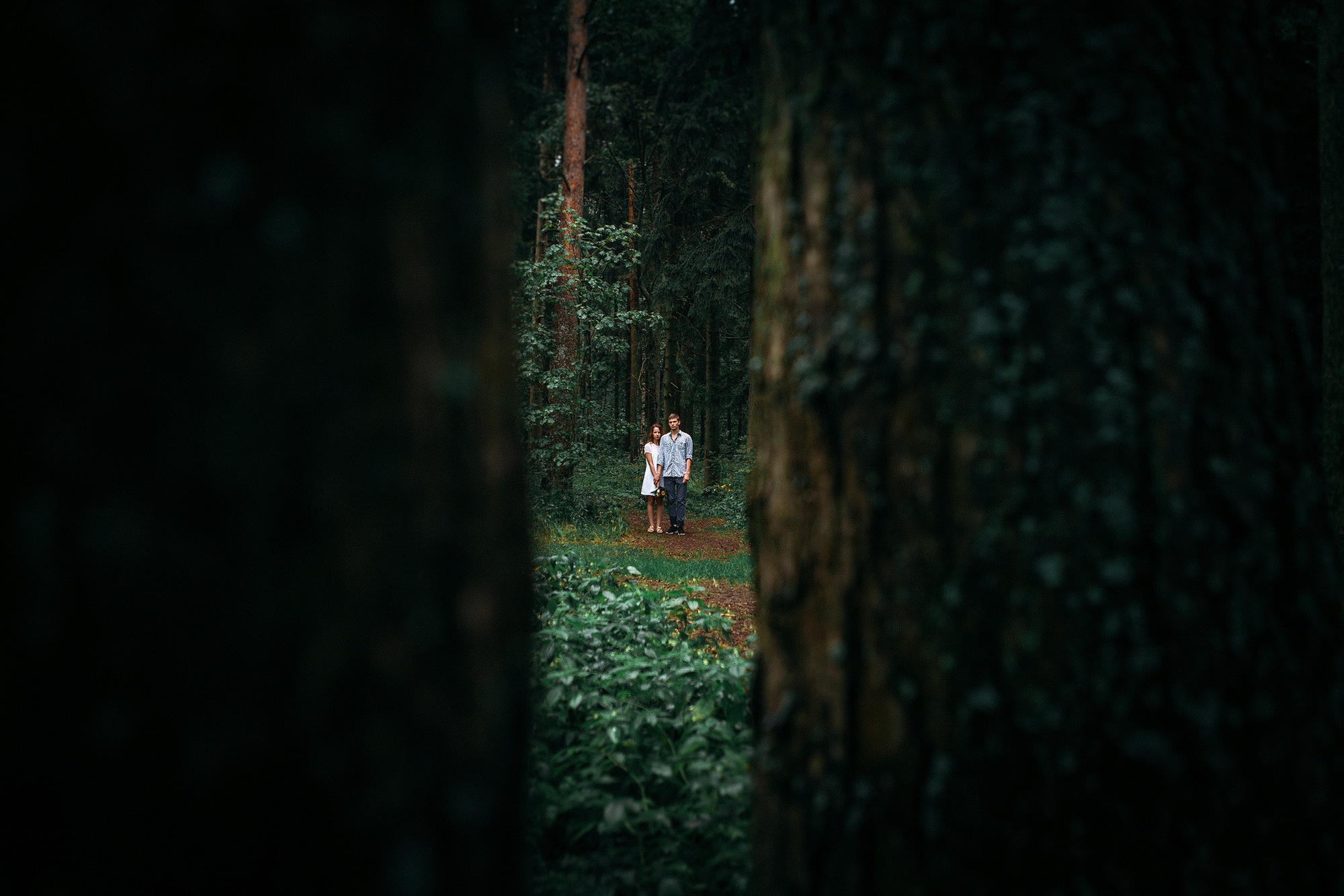 Лавстори на природе - удивительные кадры под дождём