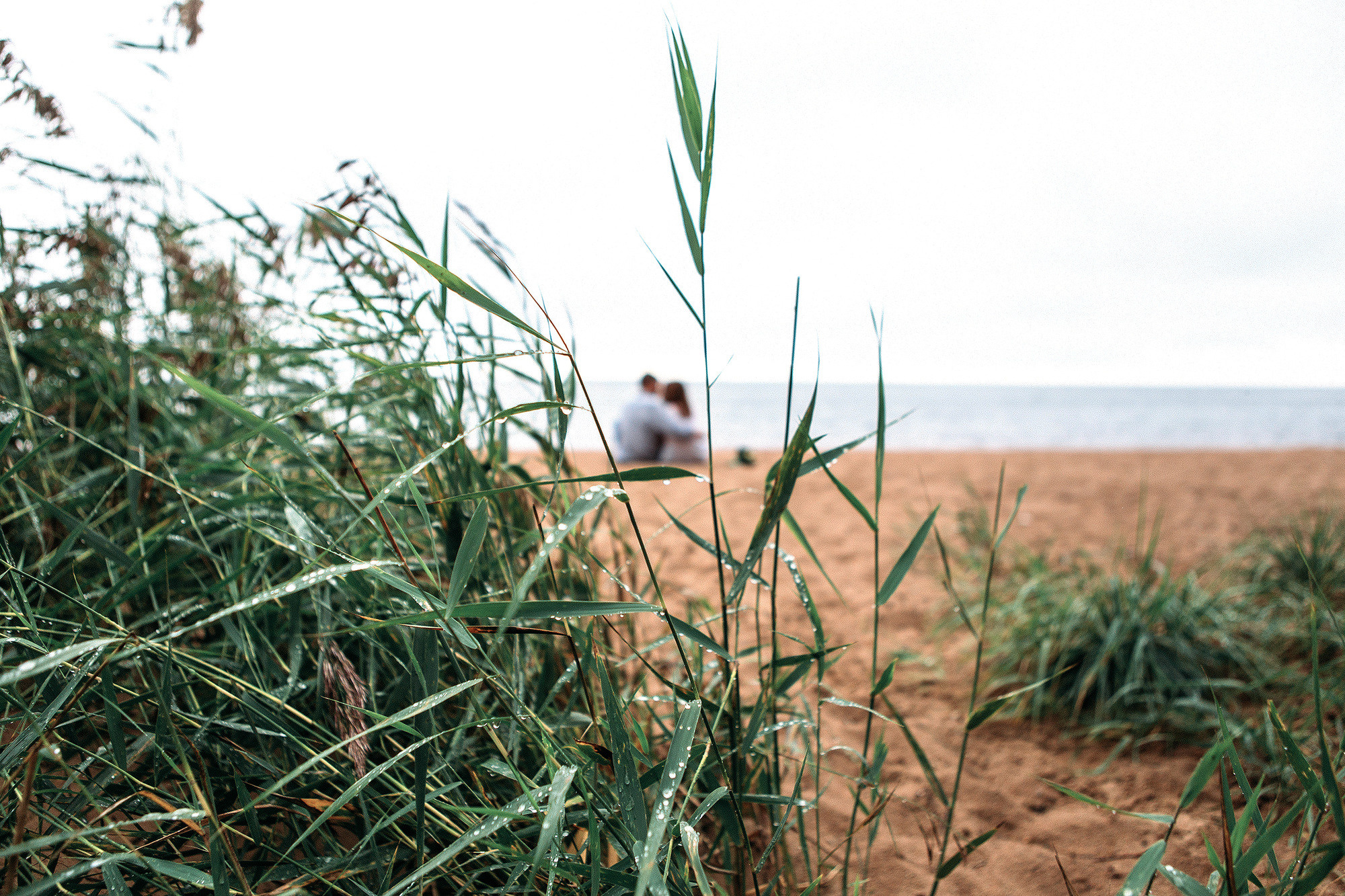 Александр + Елена