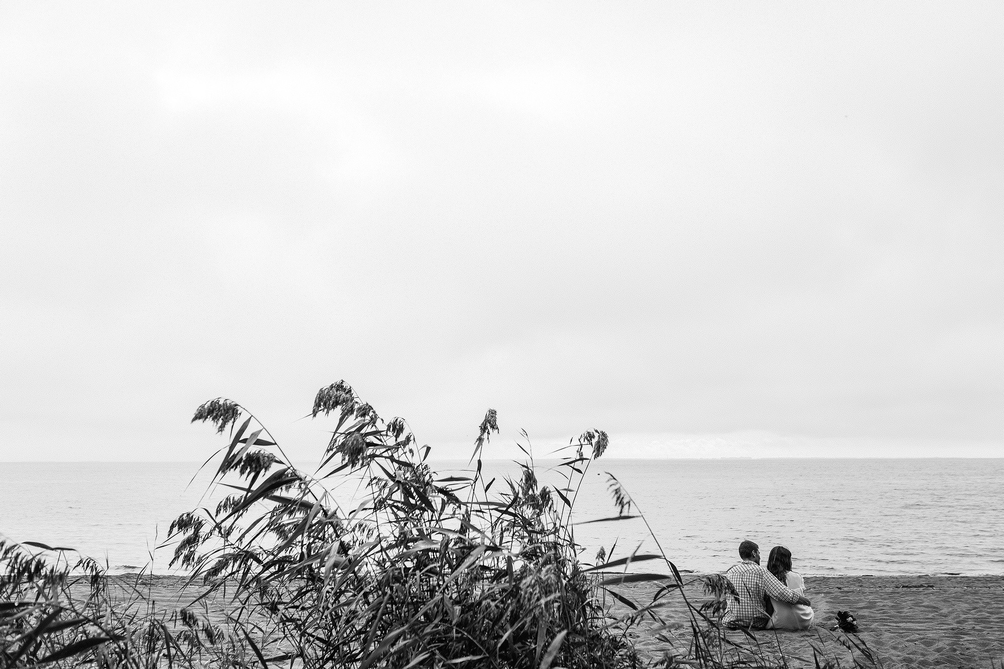 Лавстори на природе - удивительные кадры под дождём