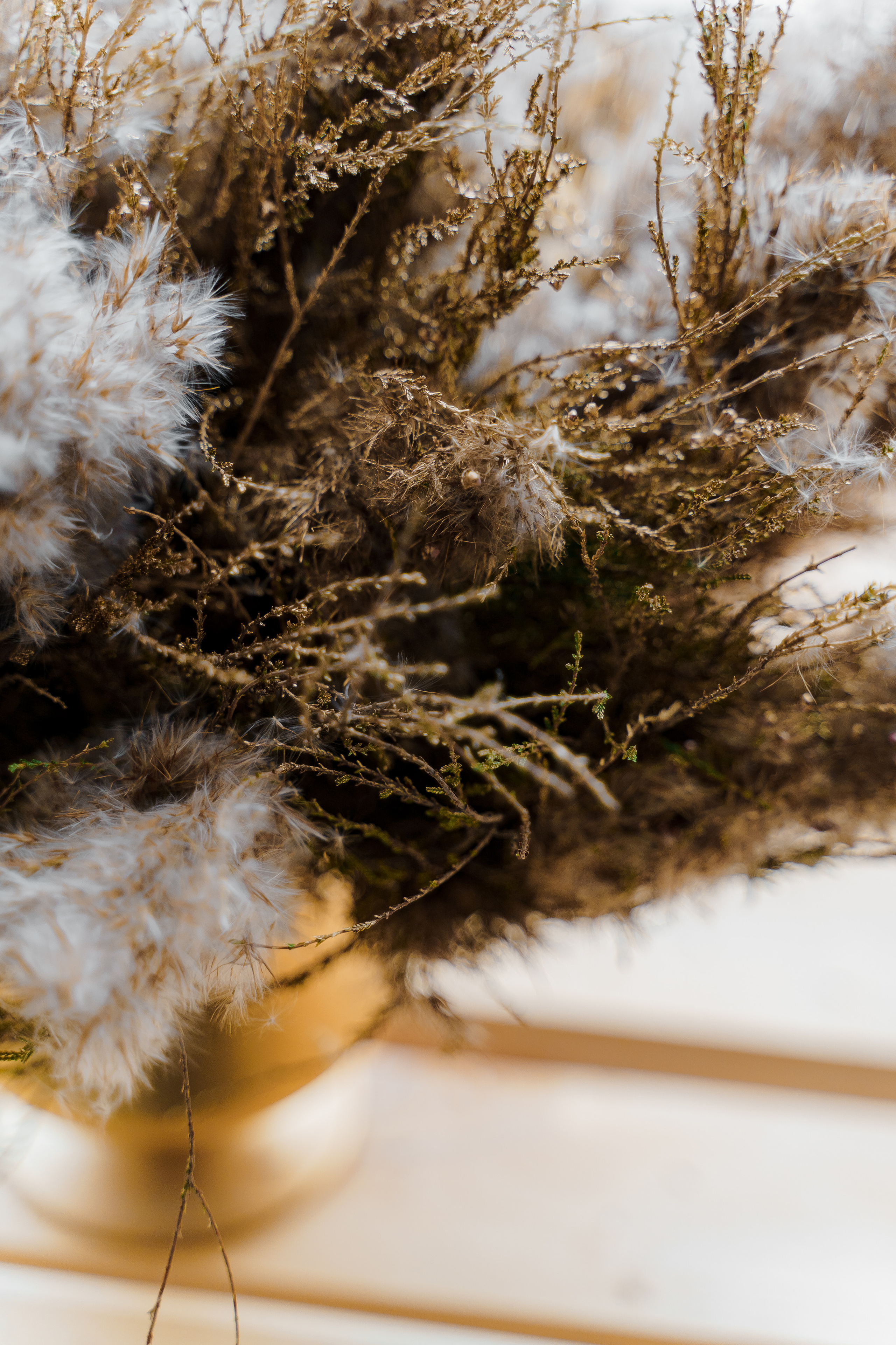 Свадебная фотосъемка, свадьба, свадебный фотограф, фотограф видеограф