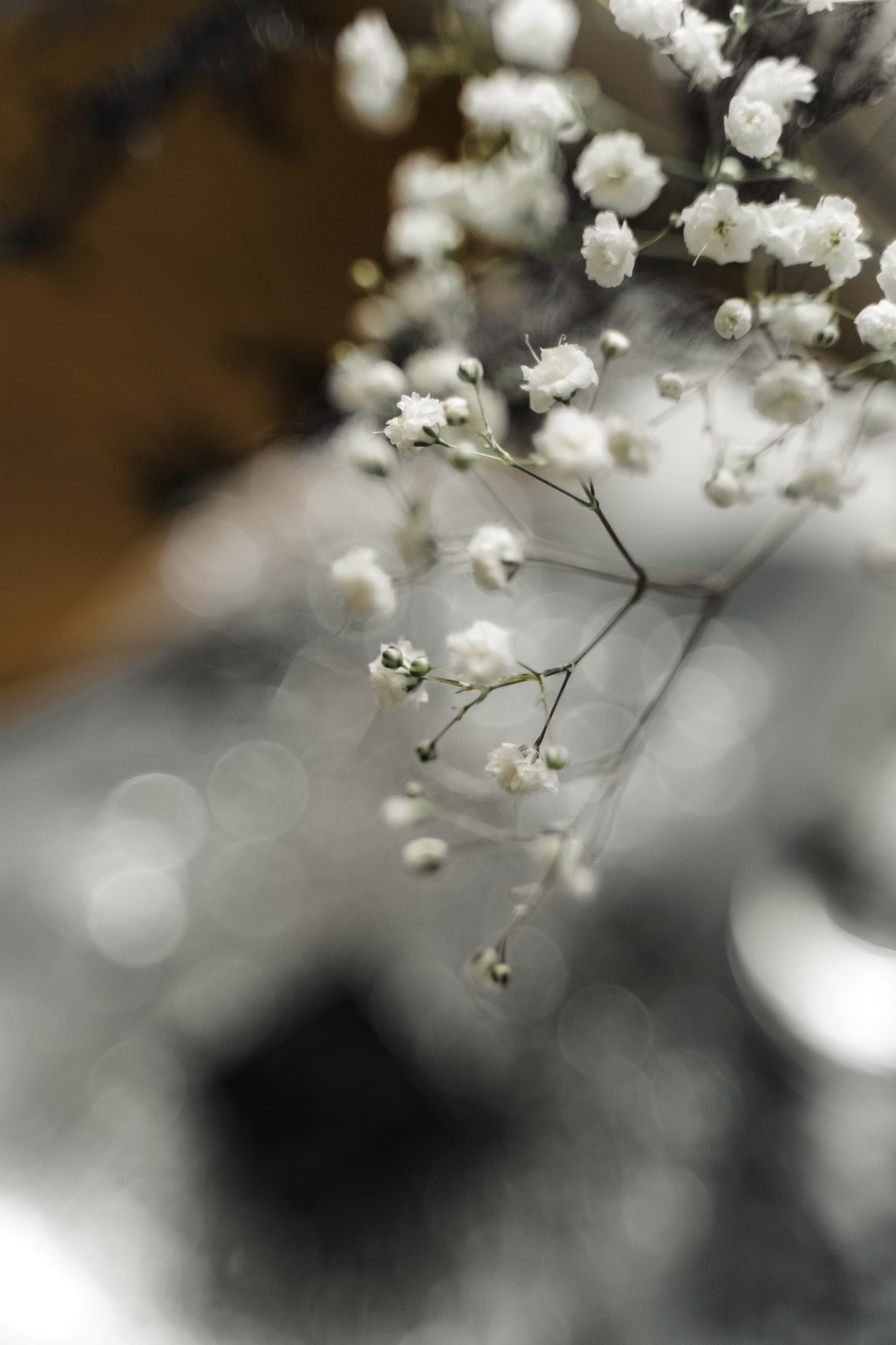 Свадебная фотосъемка, свадьба, свадебный фотограф, фотограф видеограф