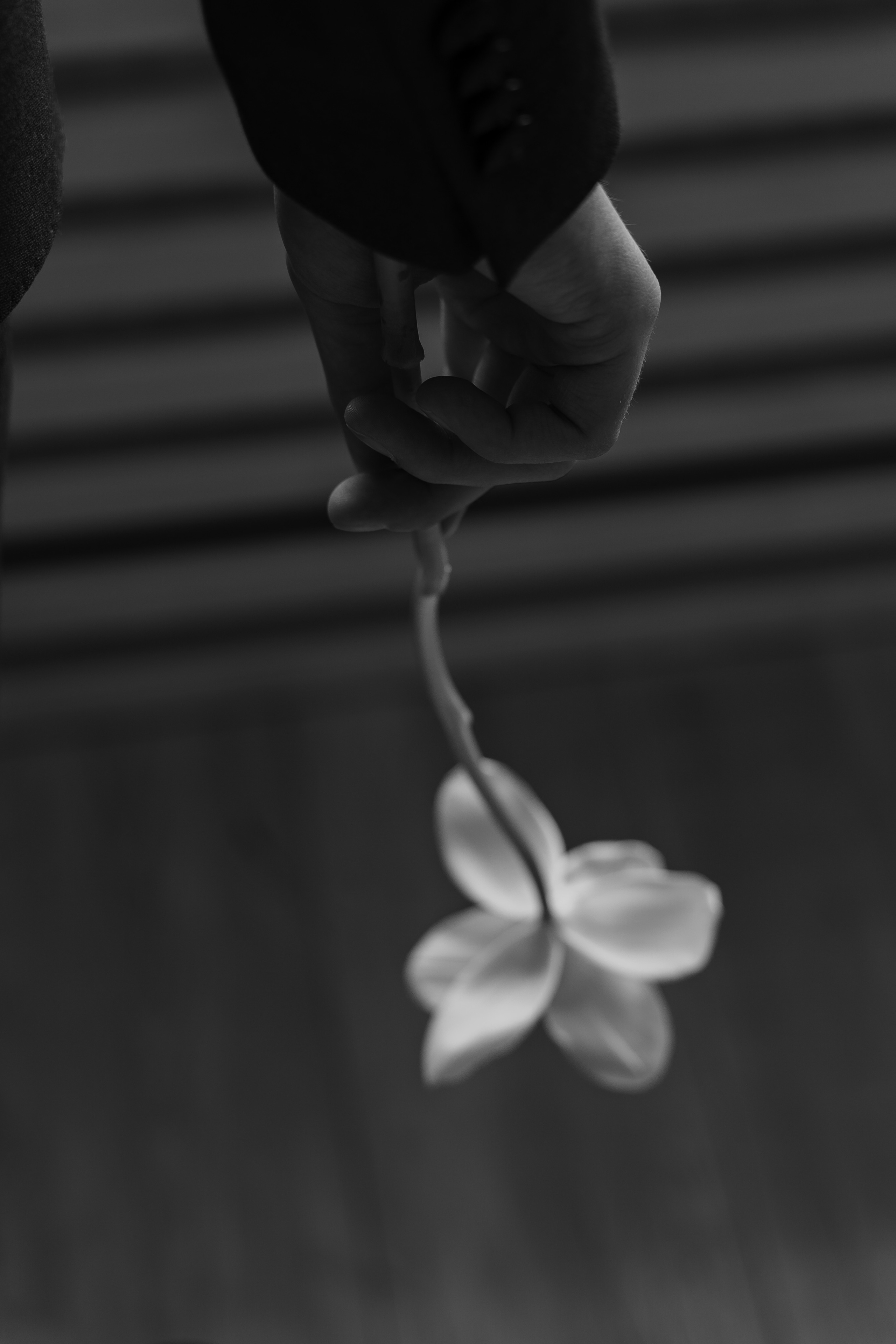 Свадебная фотосъемка, свадьба, свадебный фотограф, фотограф видеограф