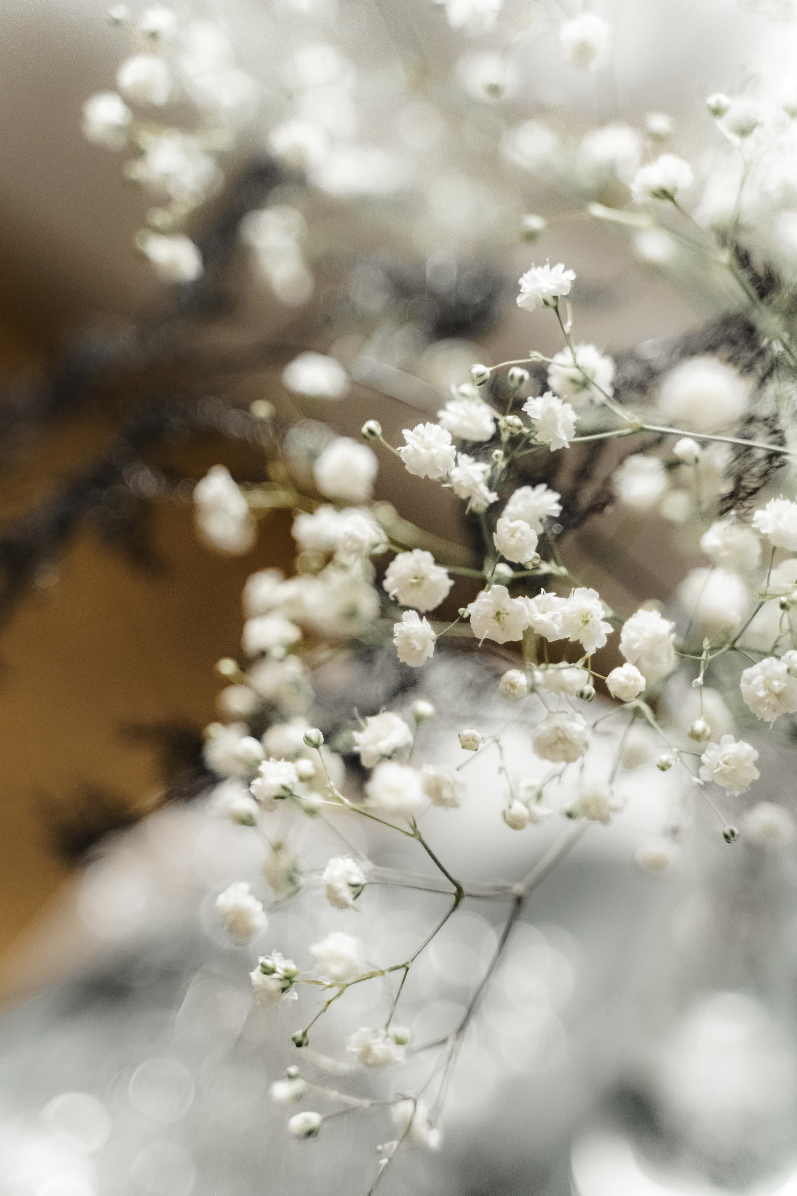 Свадебная фотосъемка, свадьба, свадебный фотограф, фотограф видеограф