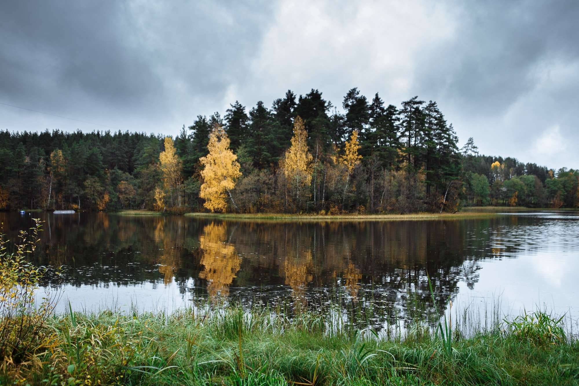 Свадебная фотосъемка, видео, свадебный фотограф, фотограф видеограф