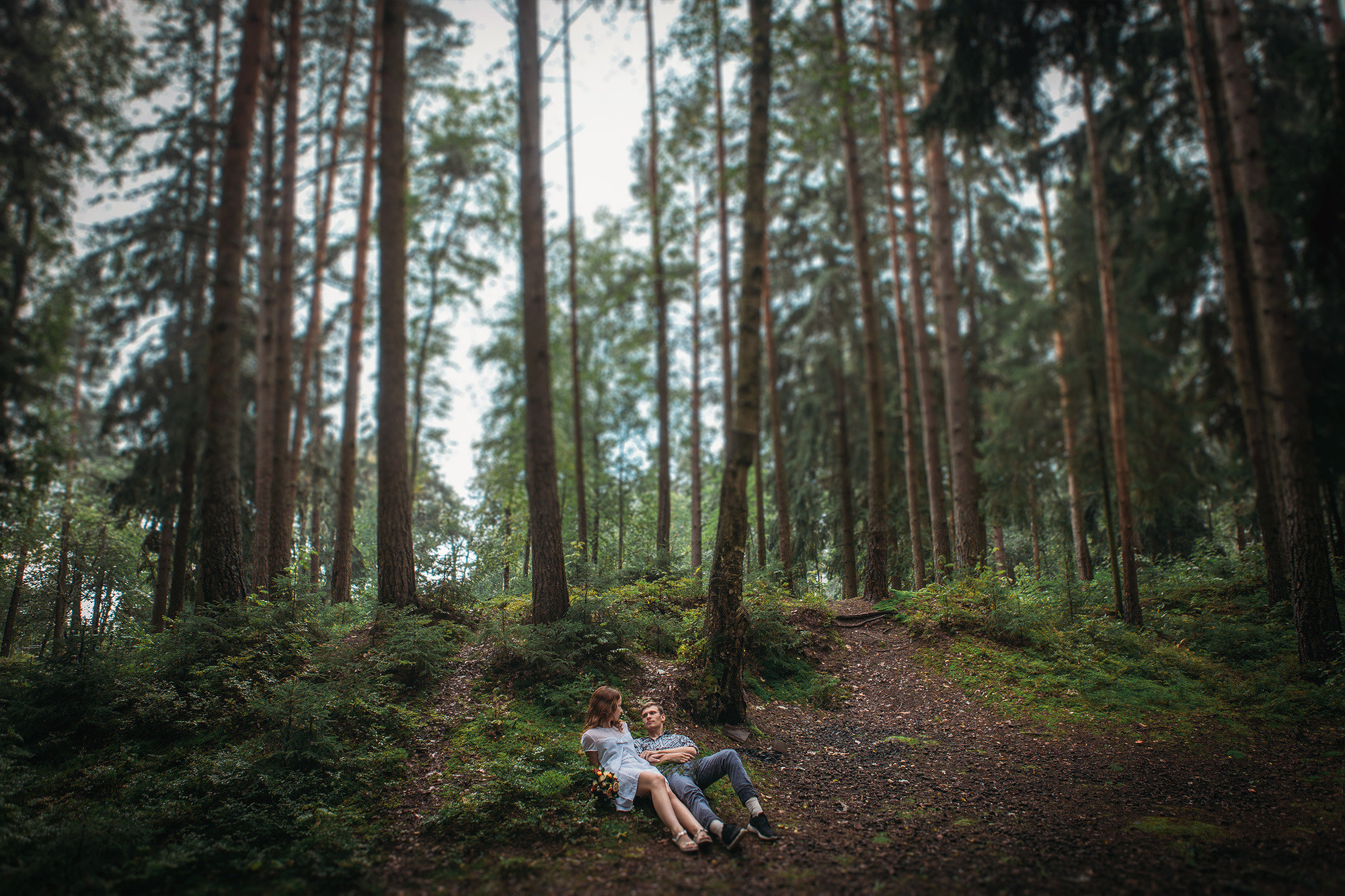 Лавстори на природе - удивительные кадры под дождём