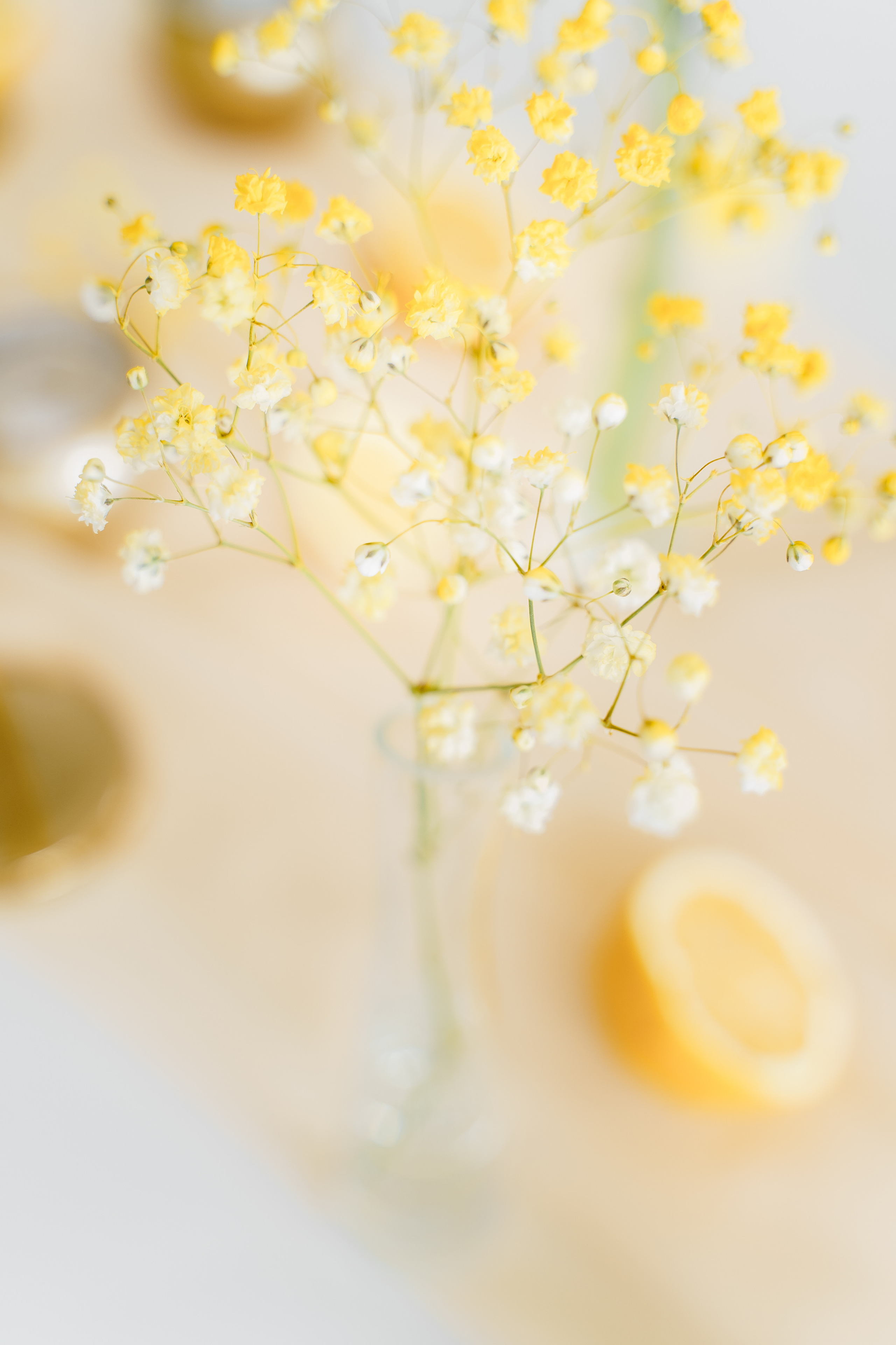 Свадебная фотосъемка, свадьба, свадебный фотограф, фотограф видеограф