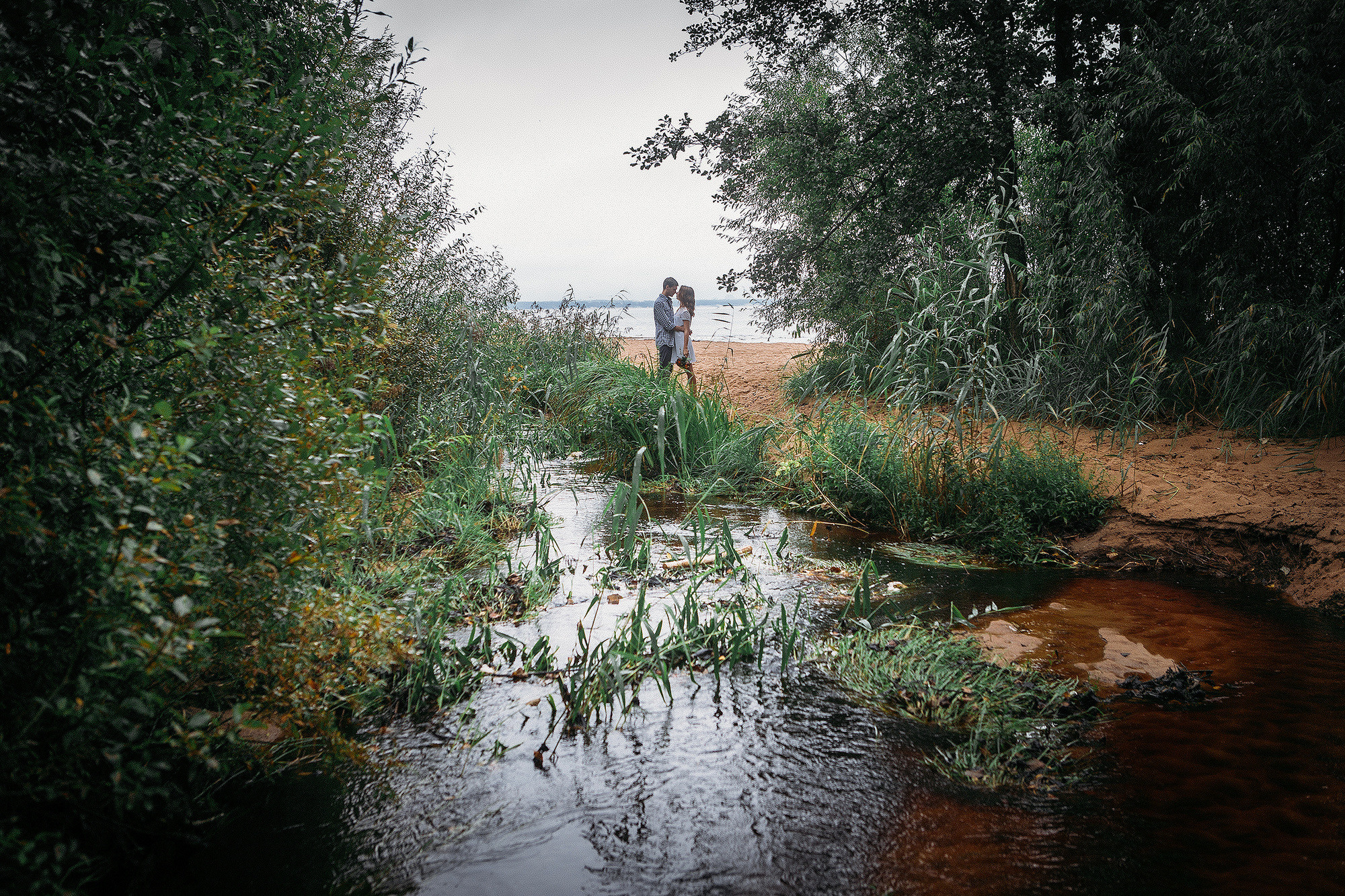 Лавстори на природе - удивительные кадры под дождём