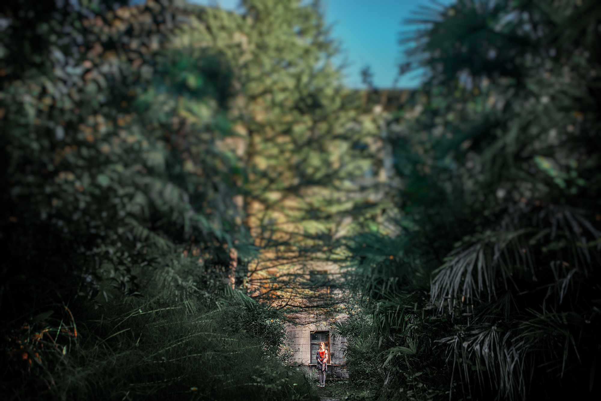 Лавстори в Сочи около заброшенного санатория Орджоникидзе