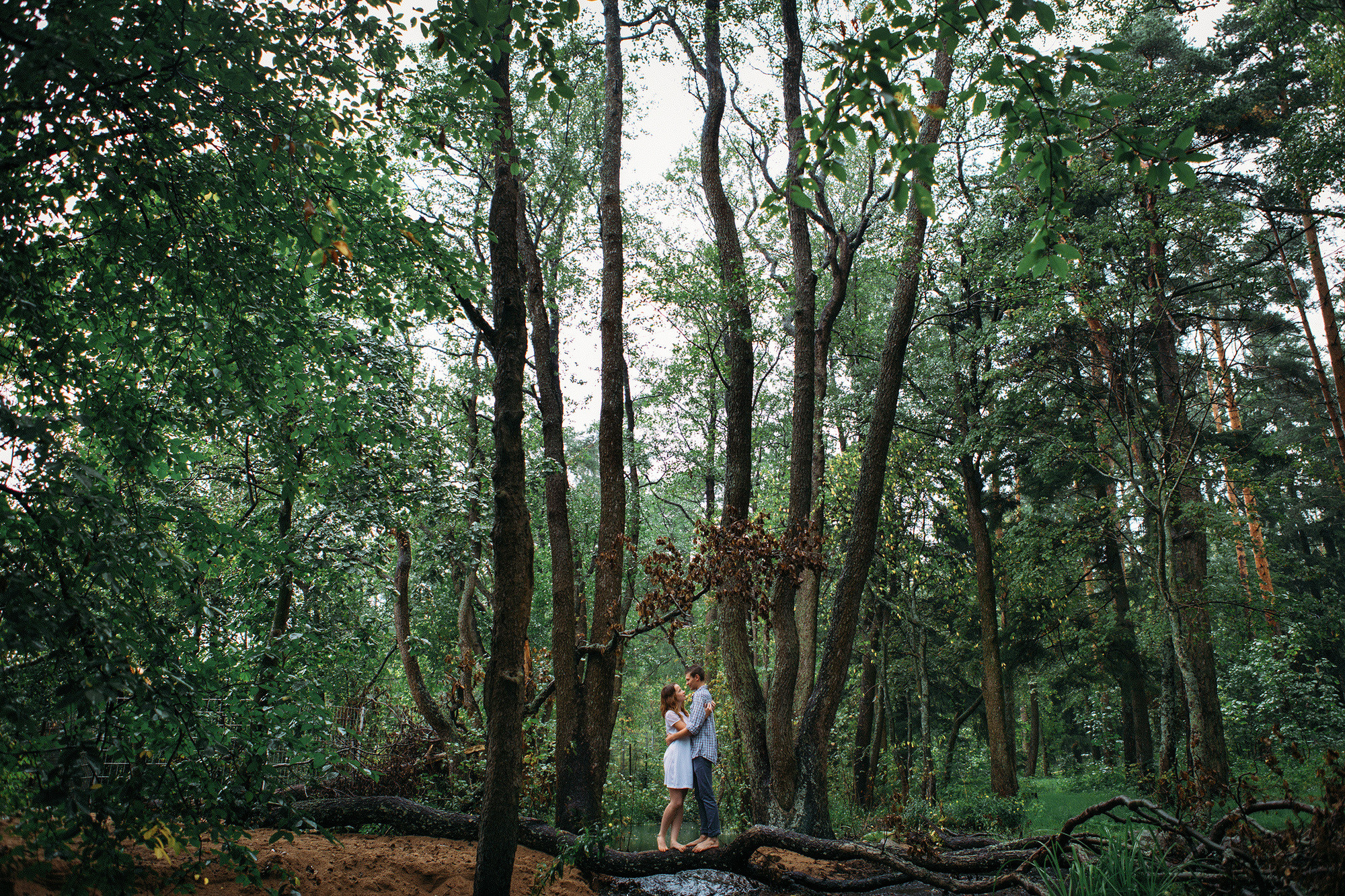 Лавстори на природе - удивительные кадры под дождём