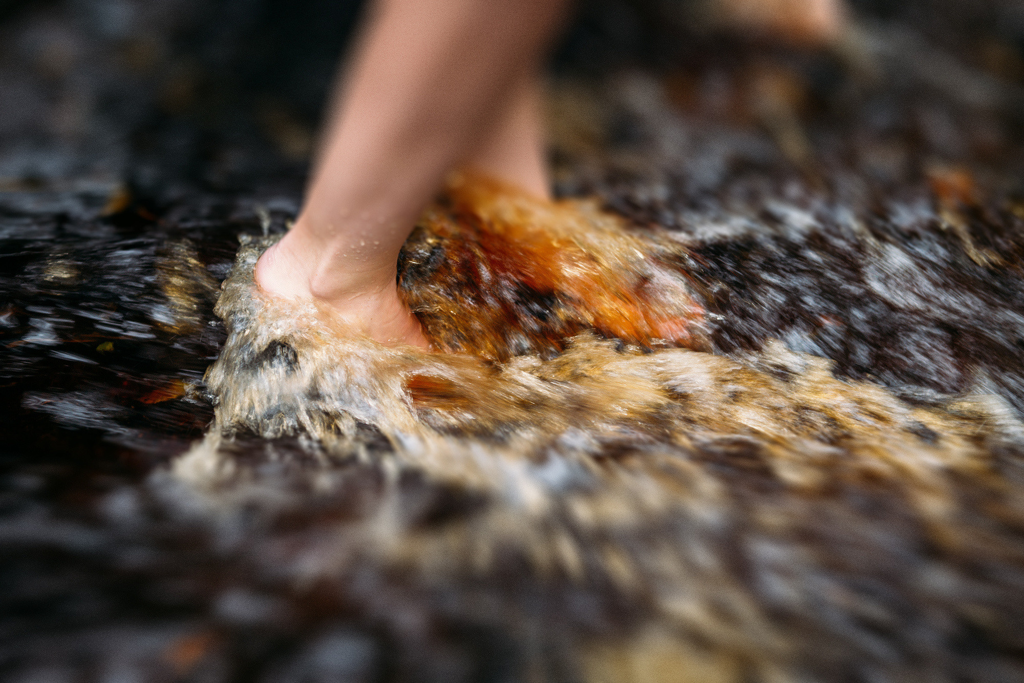 Лавстори на природе - удивительные кадры под дождём