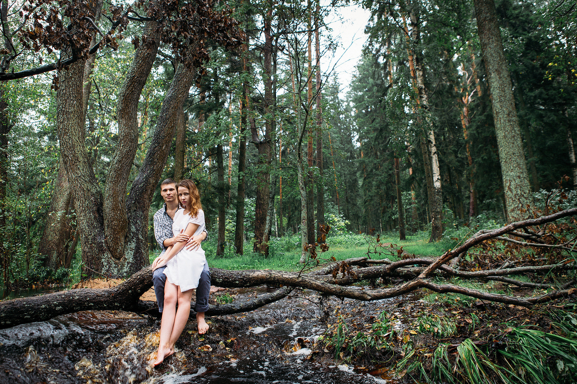 Лавстори на природе - удивительные кадры под дождём