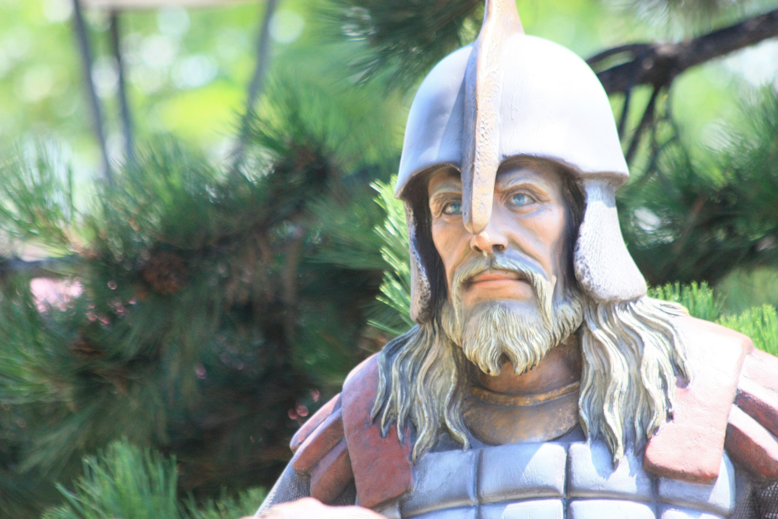 Первые кадры. Сочи — парк. Фотограф Роман Адлер