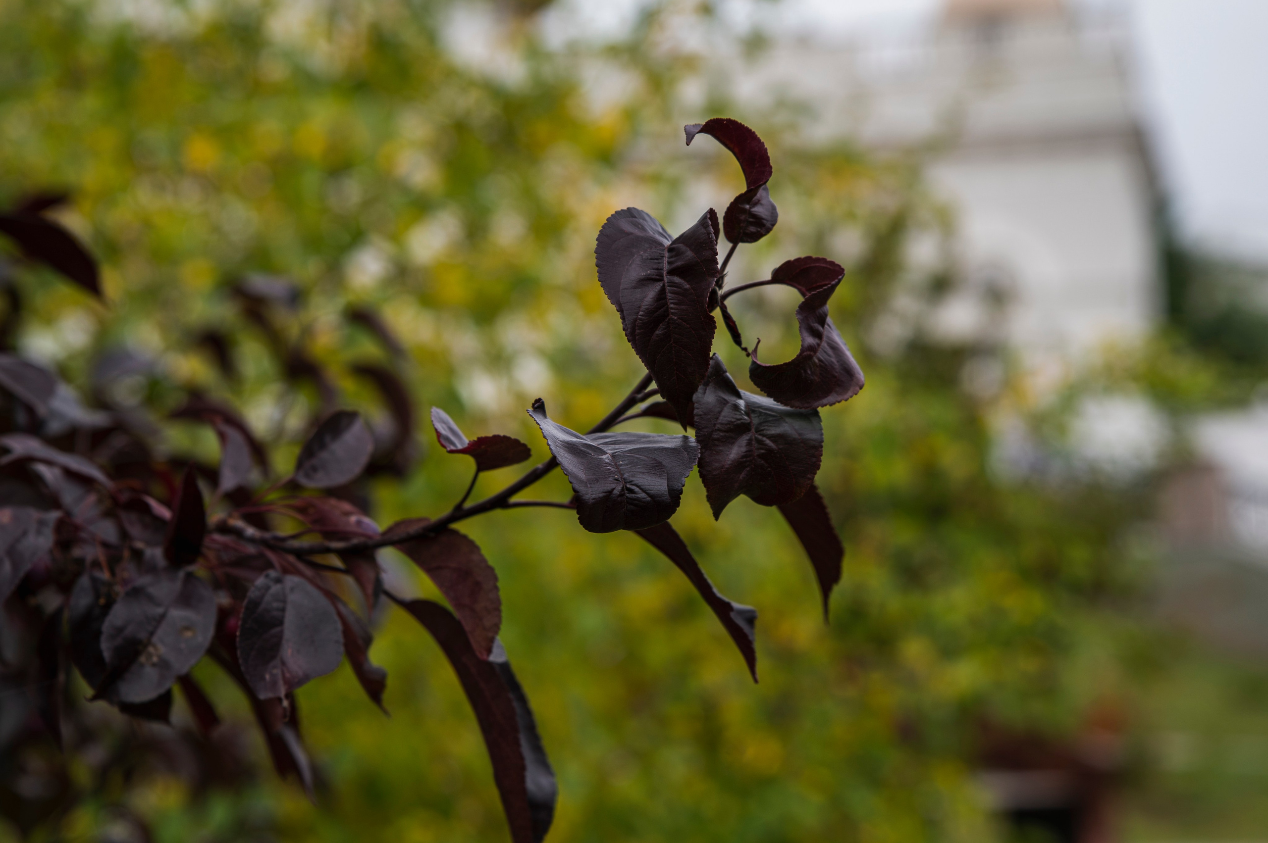 Казань. Сентябрь 2022. Фотограф Роман Адлер