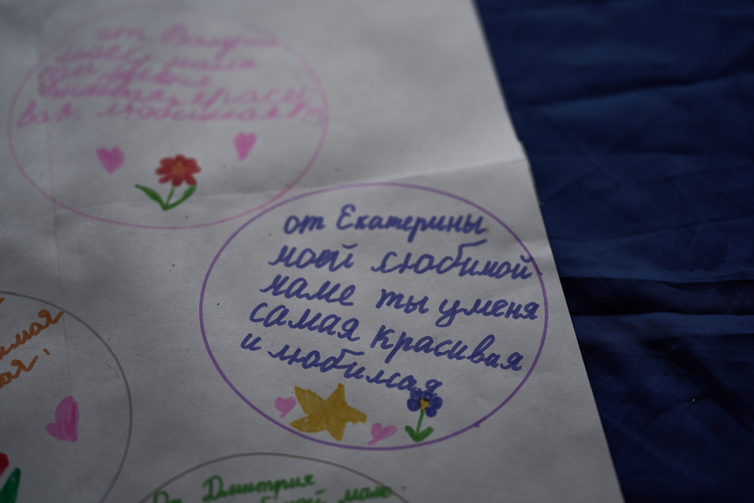 Краснореченское (Луганская область). Ноябрь 2024. Фотограф Роман Адлер