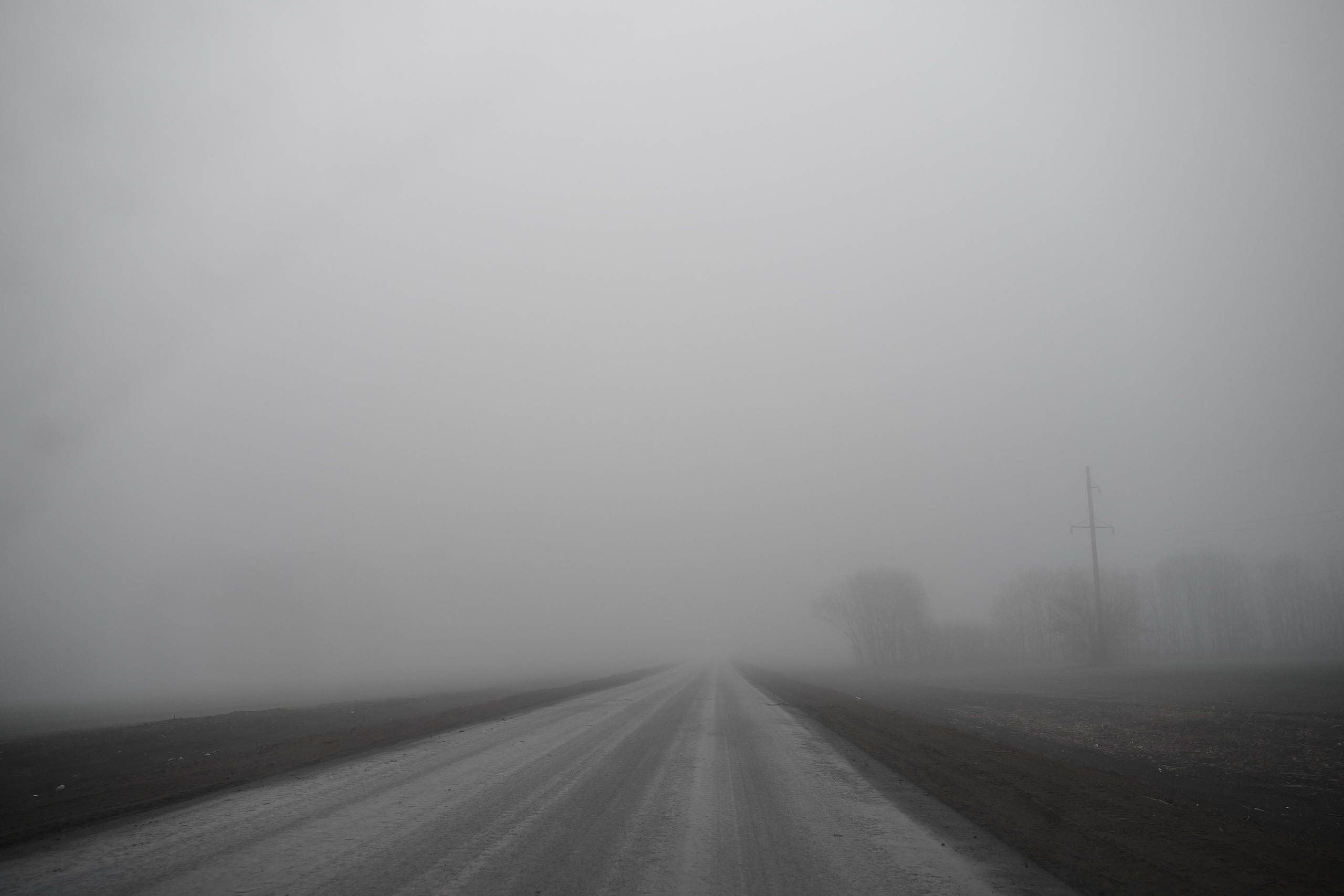 Дорога домой. Туман. Фотограф Роман Адлер