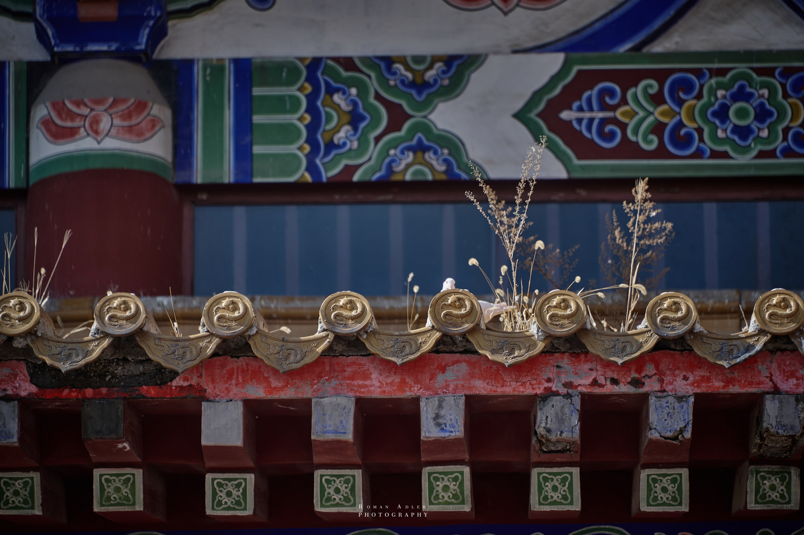 Храм Гуанфу (Процветания). Цинчжоу. Фотограф Роман Адлер