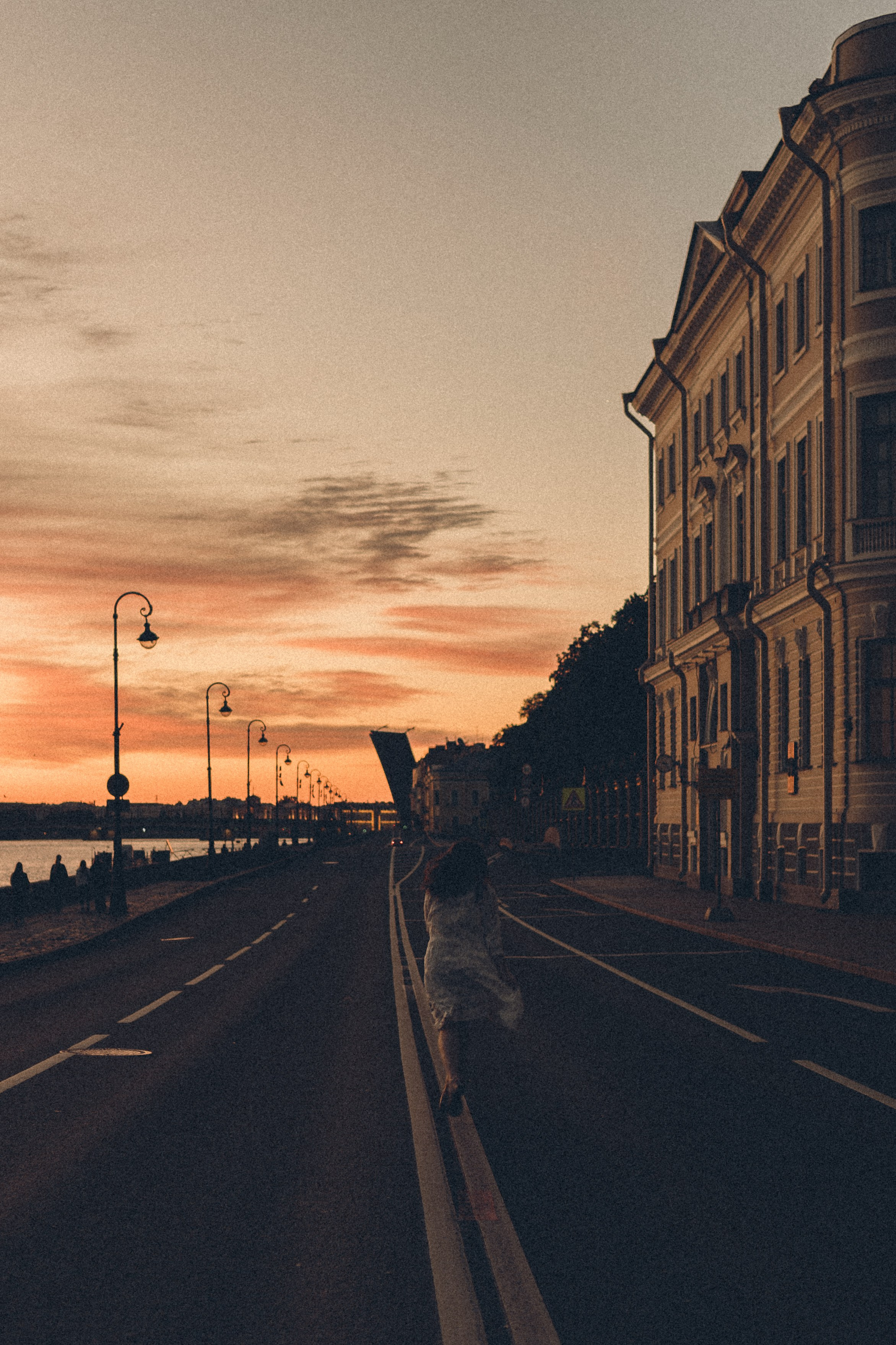РАССВЕТ С РАЗВОДНЫМИ МОСТАМИ. Профессиональный фотограф, Санкт-Петербург — Виктория Богомолова
