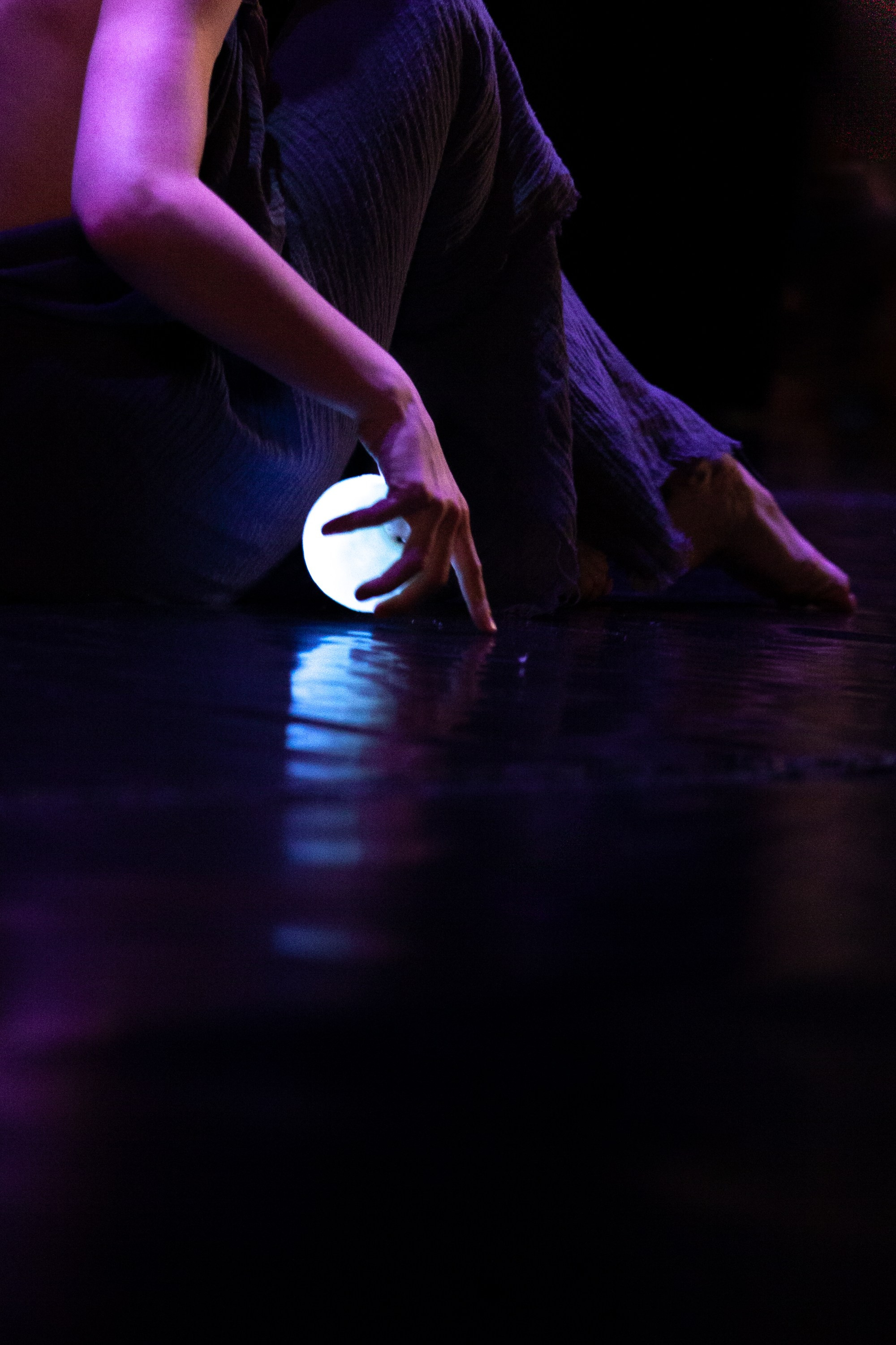 Концерты. Виолетта Скрипка