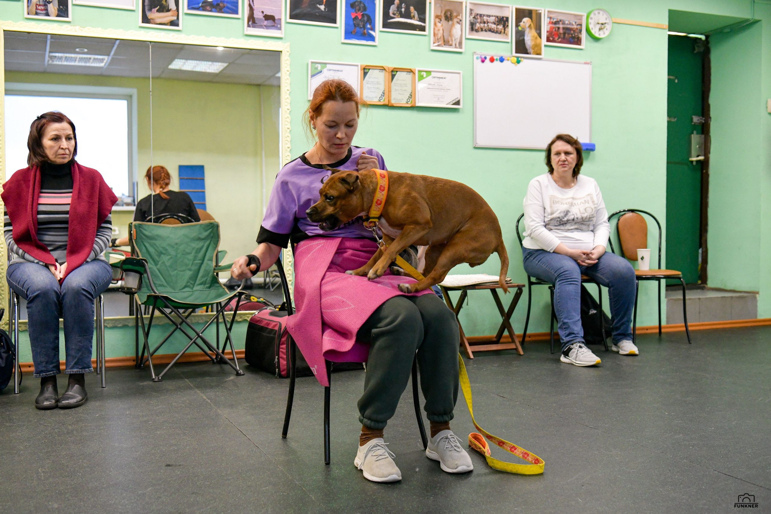 Кинологический клуб «Бодрый хвост». Свой взгляд через объектив