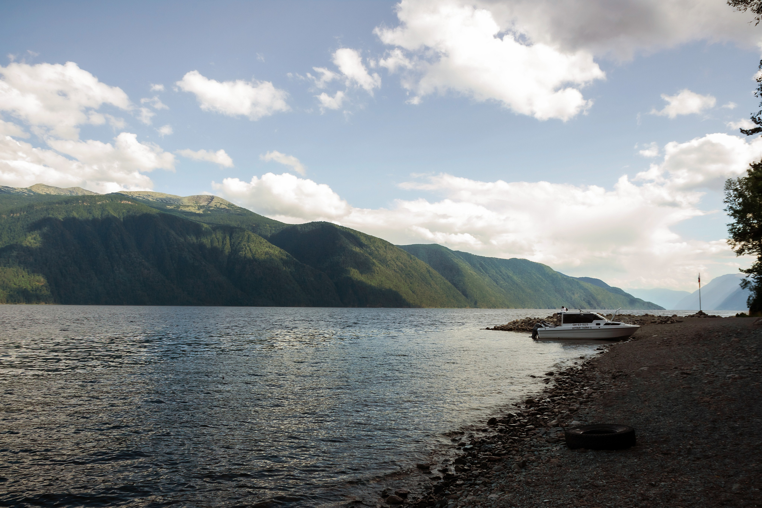 АЛТАЙ 2024 / ALTAI 2024. Главная