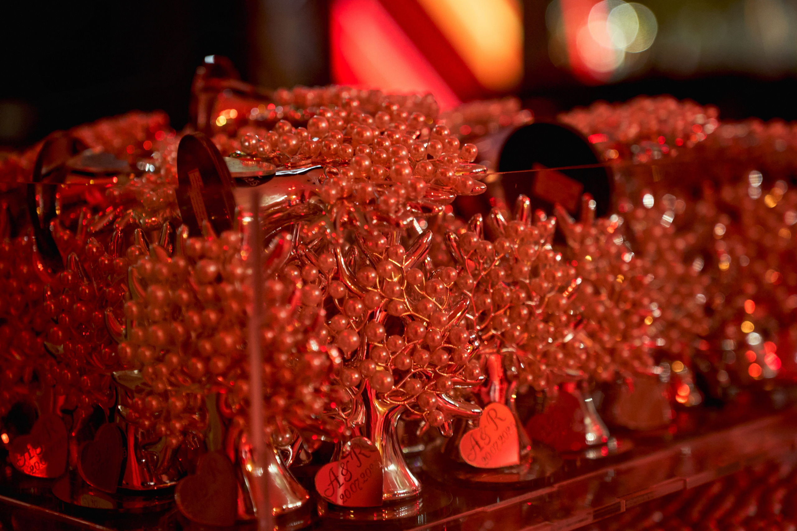 Красивое сватовство со звездами в Сид Холе в Пятигорске! ТВИНС СТУДИО. ТВИНС СТУДИО — лучшие свадебные фотографы и видеографы в Краснодаре