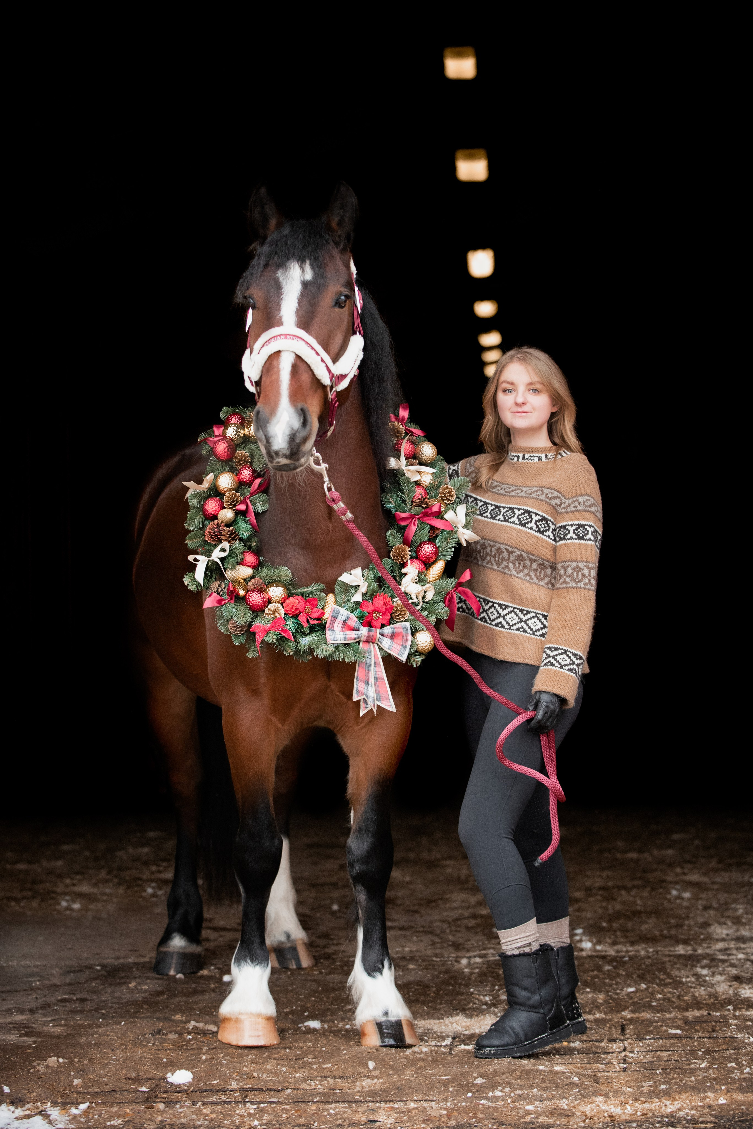 Зимний Настасьин табун. Куракина Дарья • Конный фотограф