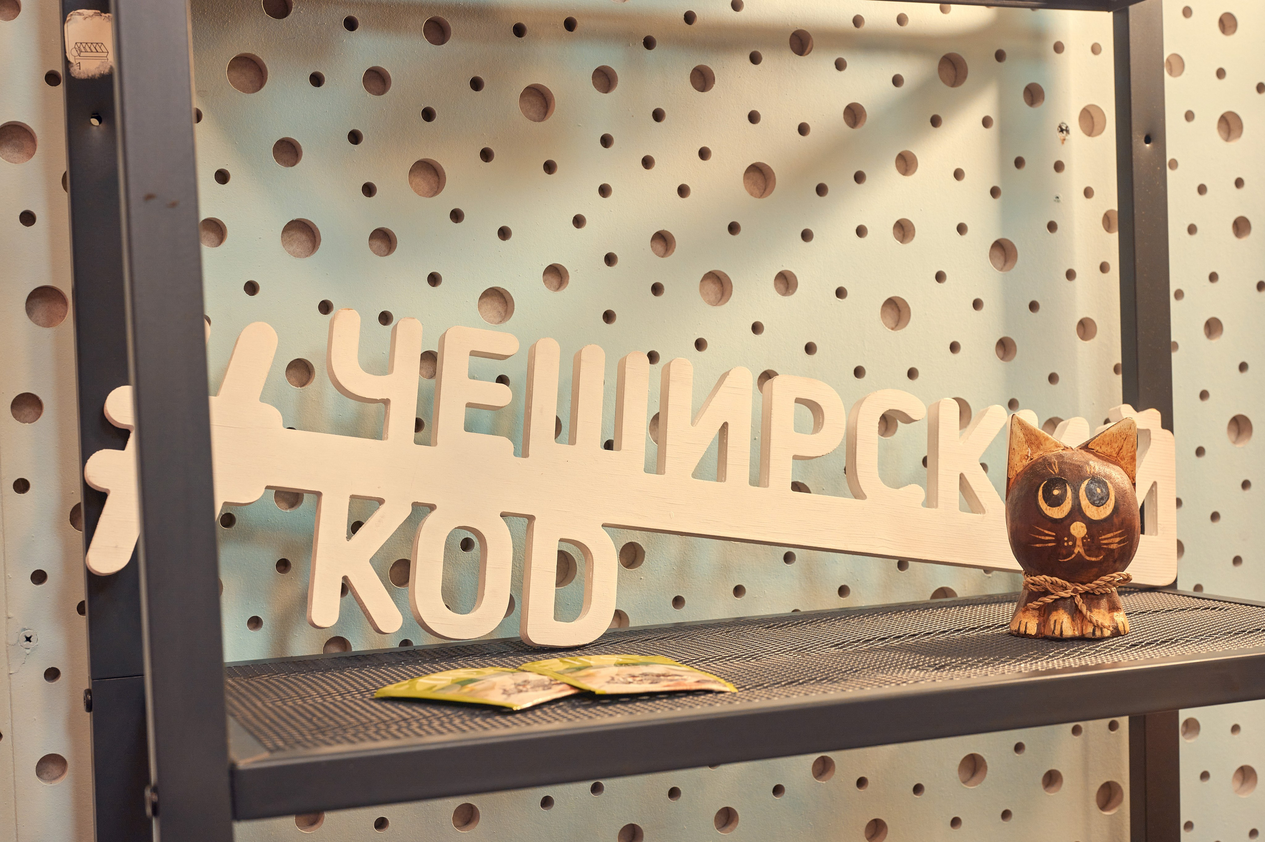 Чеширский Коd — 5 локаций. Фотограф Яковлев Роман — Красноярск