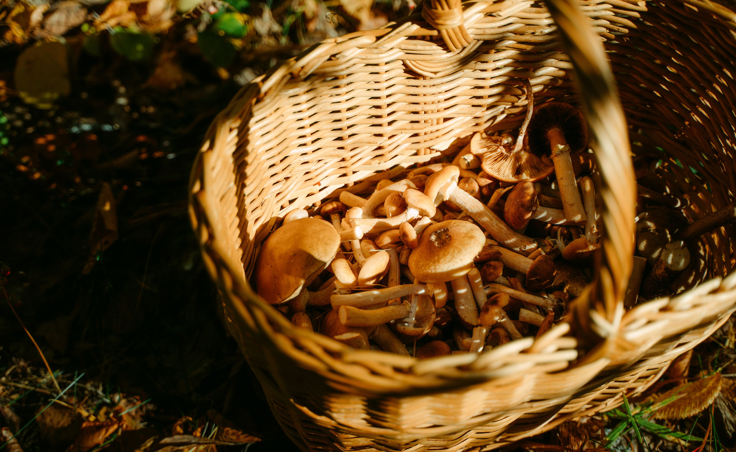 Good Friends Trip / команда локальных путешествий. Саша Копылов, фотограф в Казани