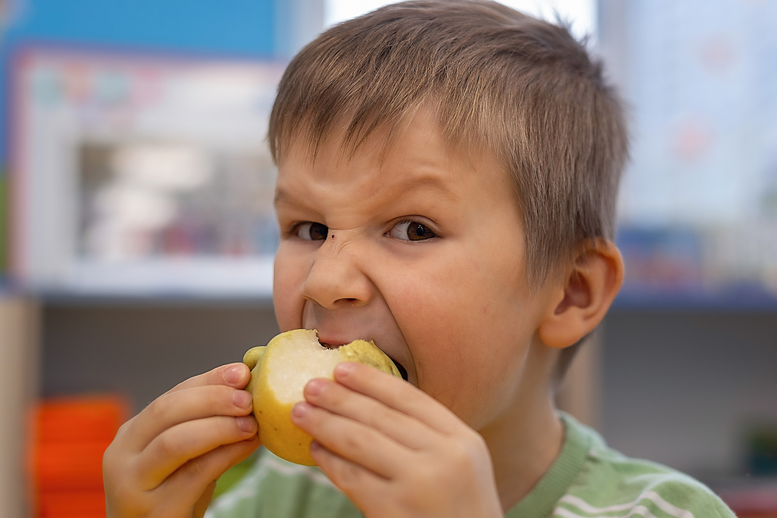 День в саду_ноябрь 2024. Семейный фотограф в Санкт-Петербурге