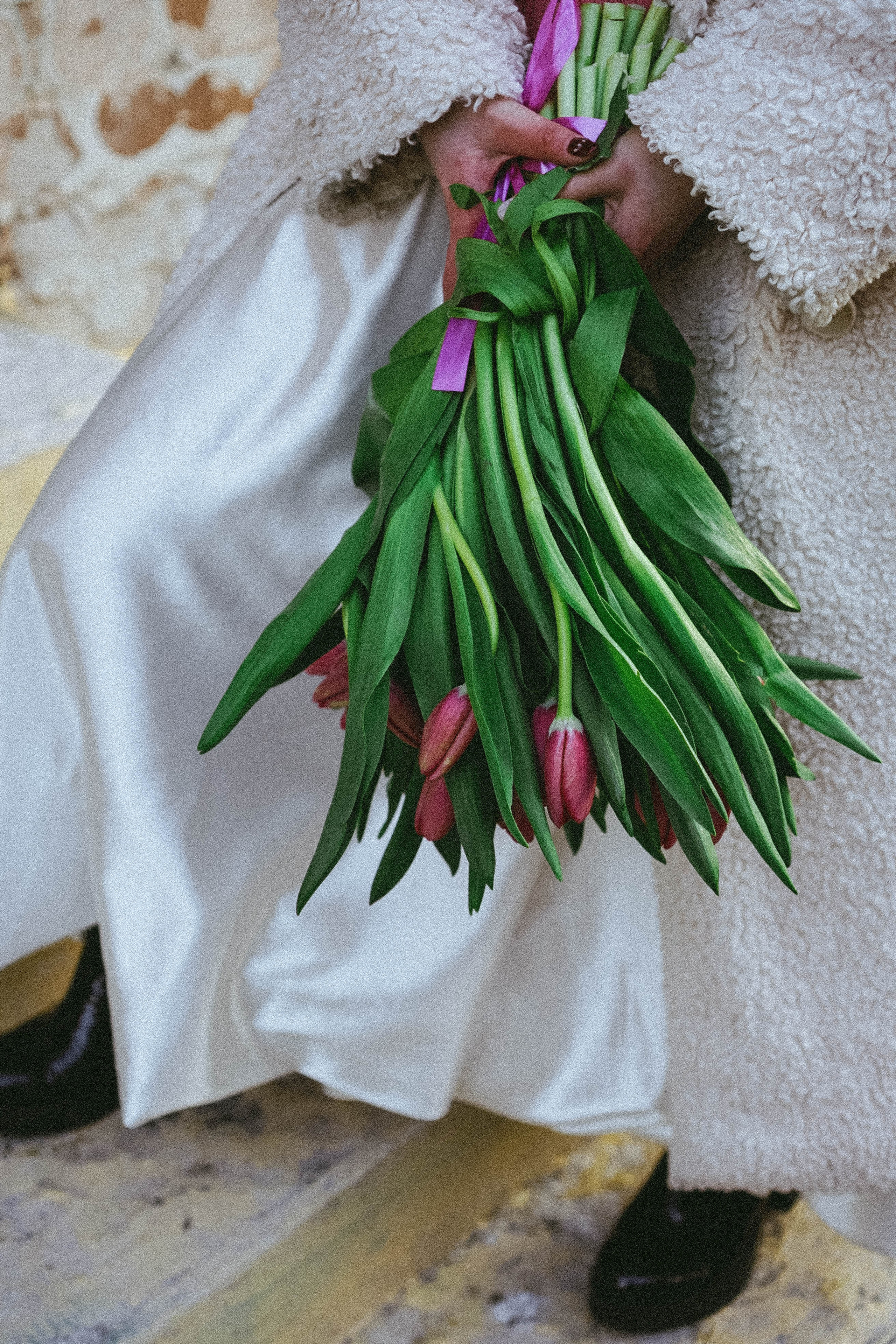 Тюльпаны. Профессиональный фотограф, Санкт-Петербург — Виктория Богомолова