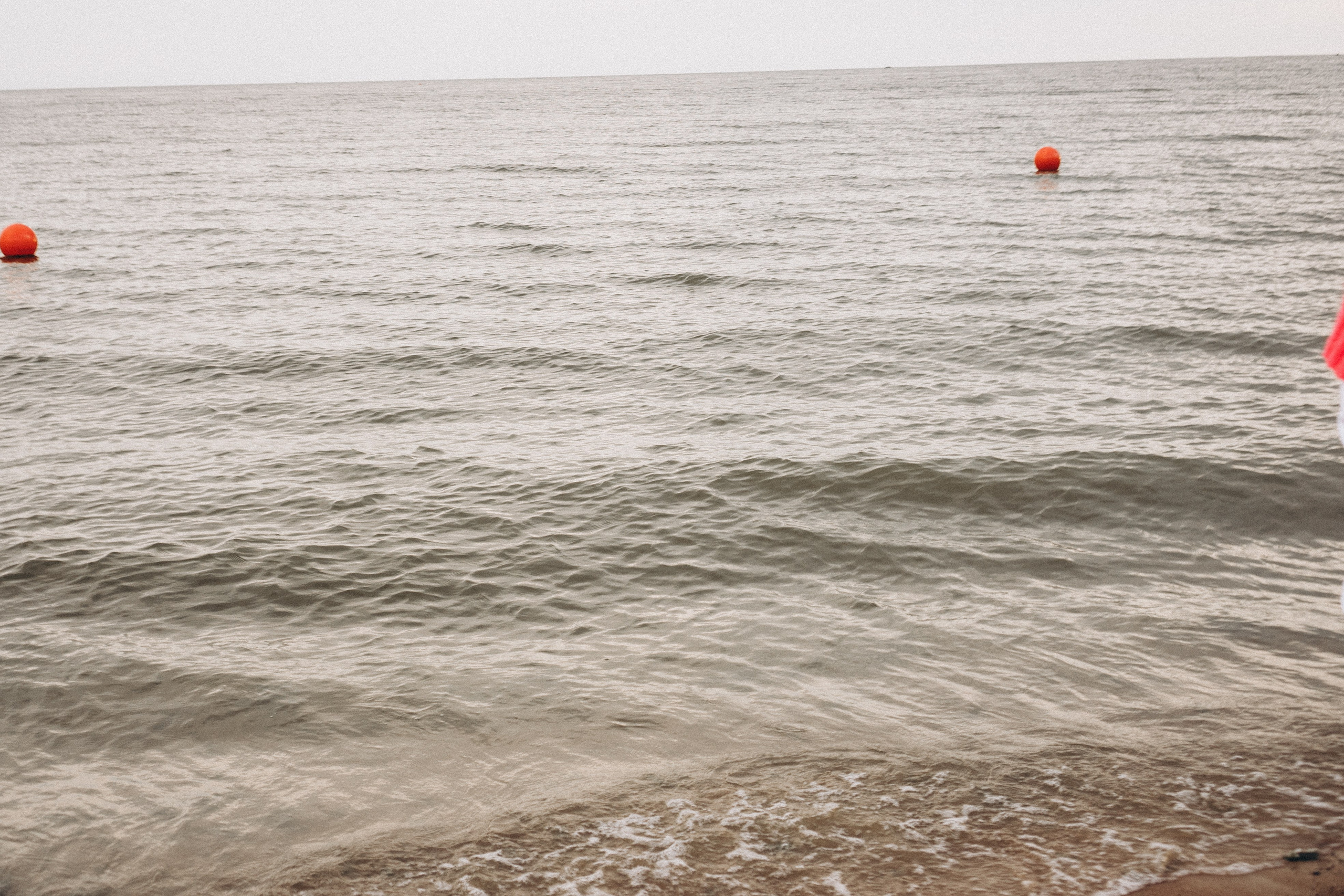 Семейная история на берегу залива. Профессиональный фотограф, Санкт-Петербург — Виктория Богомолова