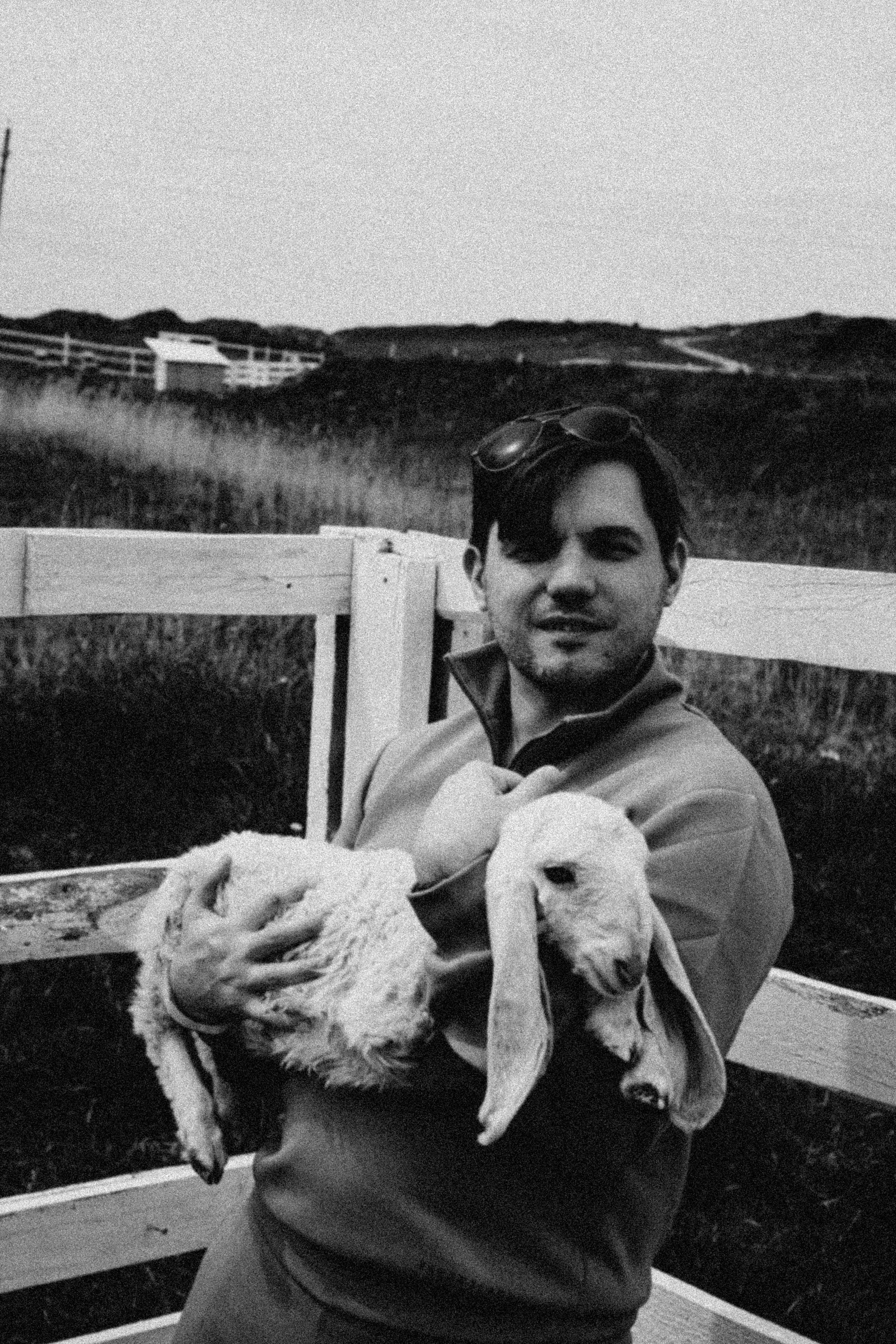 Ферма Альпак. Профессиональный фотограф, Санкт-Петербург — Виктория Богомолова