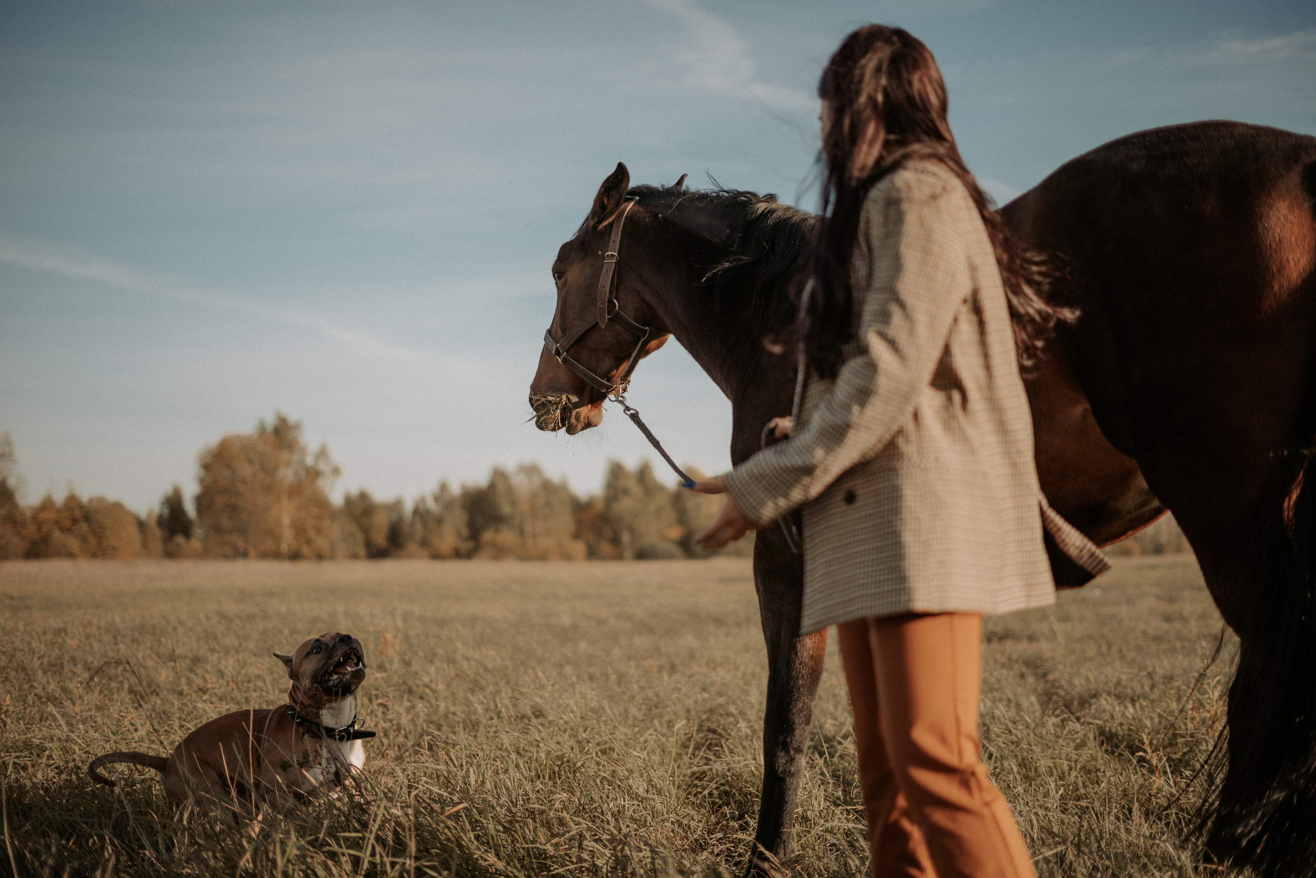 Портретная индивидуальная фотосессия в Москве. Фотограф Москва Виктория-Антуанетта
