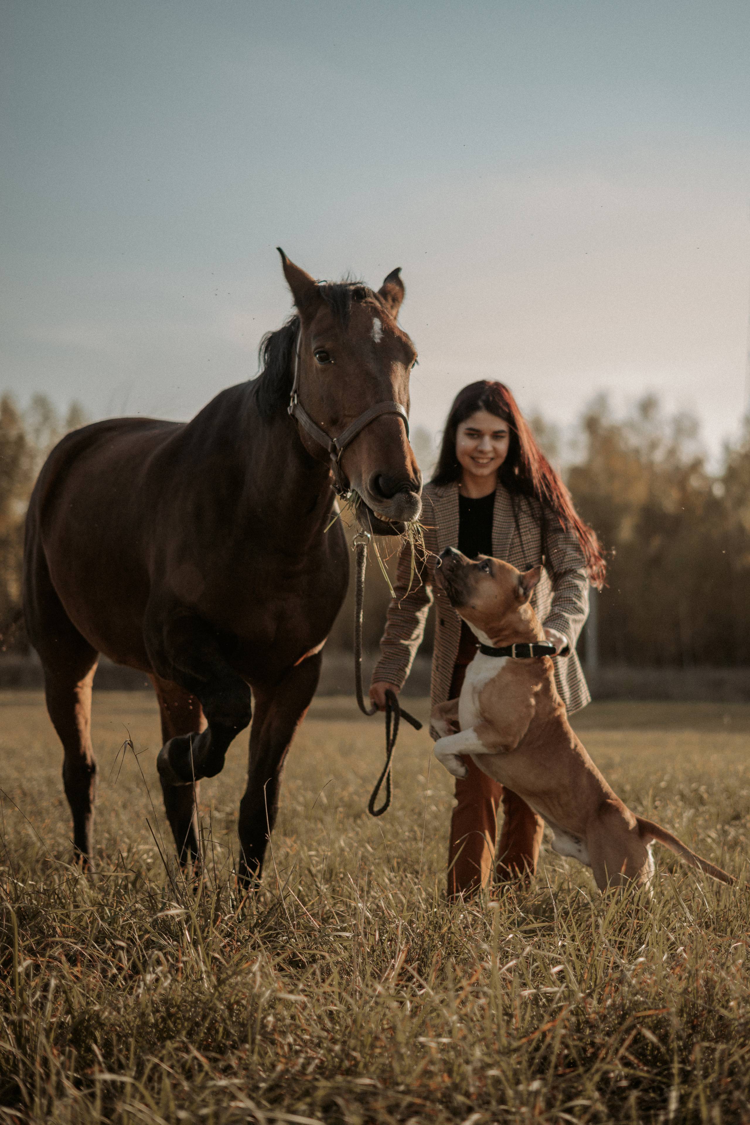 Портретная индивидуальная фотосессия в Москве. Фотограф Москва Виктория-Антуанетта