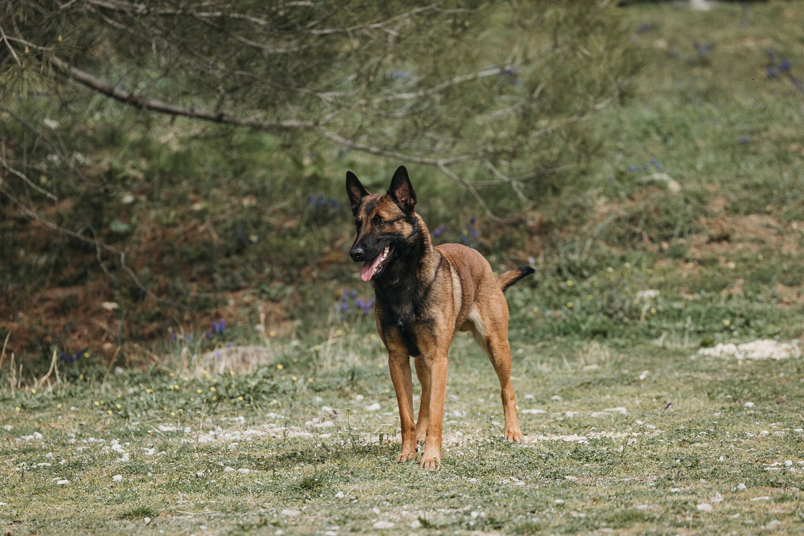 Геленджик Мондьоринг. Фотограф-анималист Анна Маринич