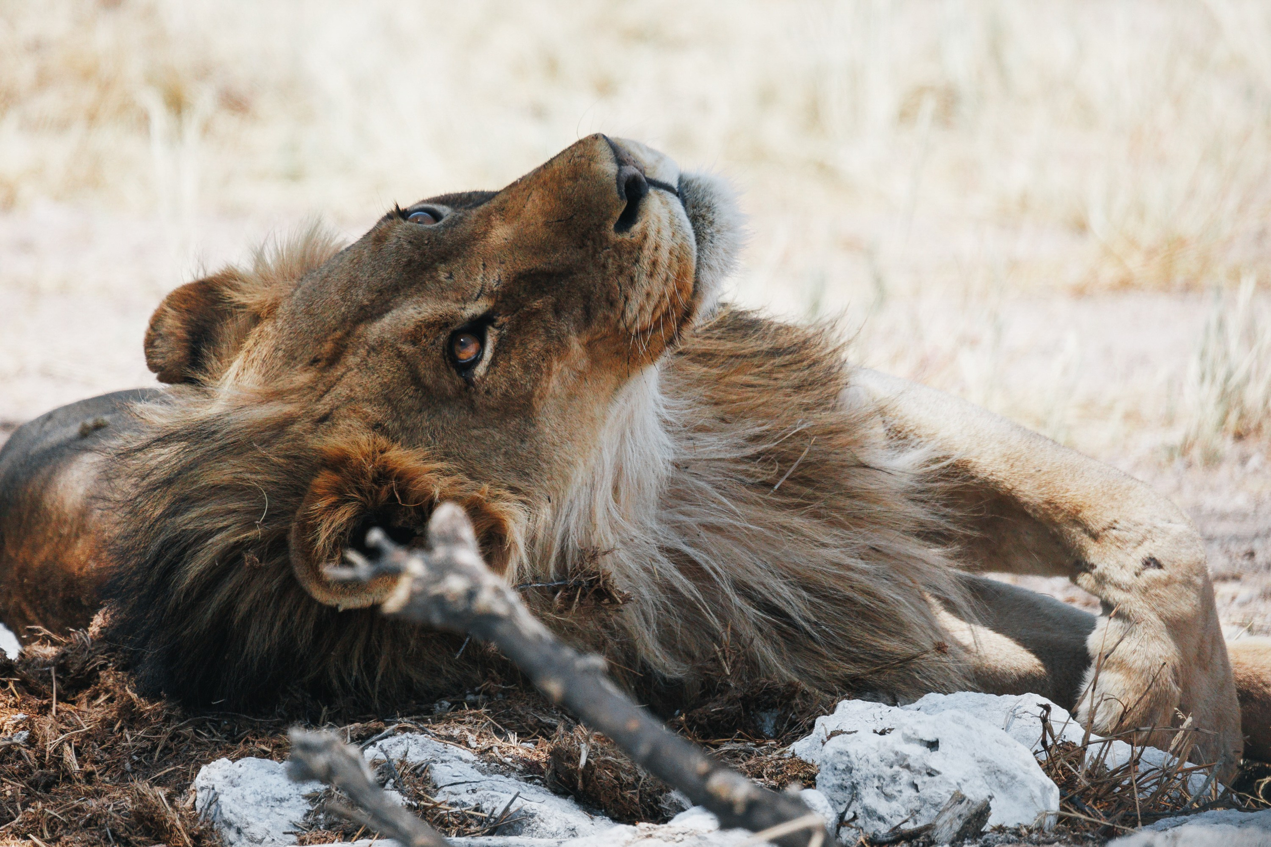 НАМИБИЯ. Роадтрип