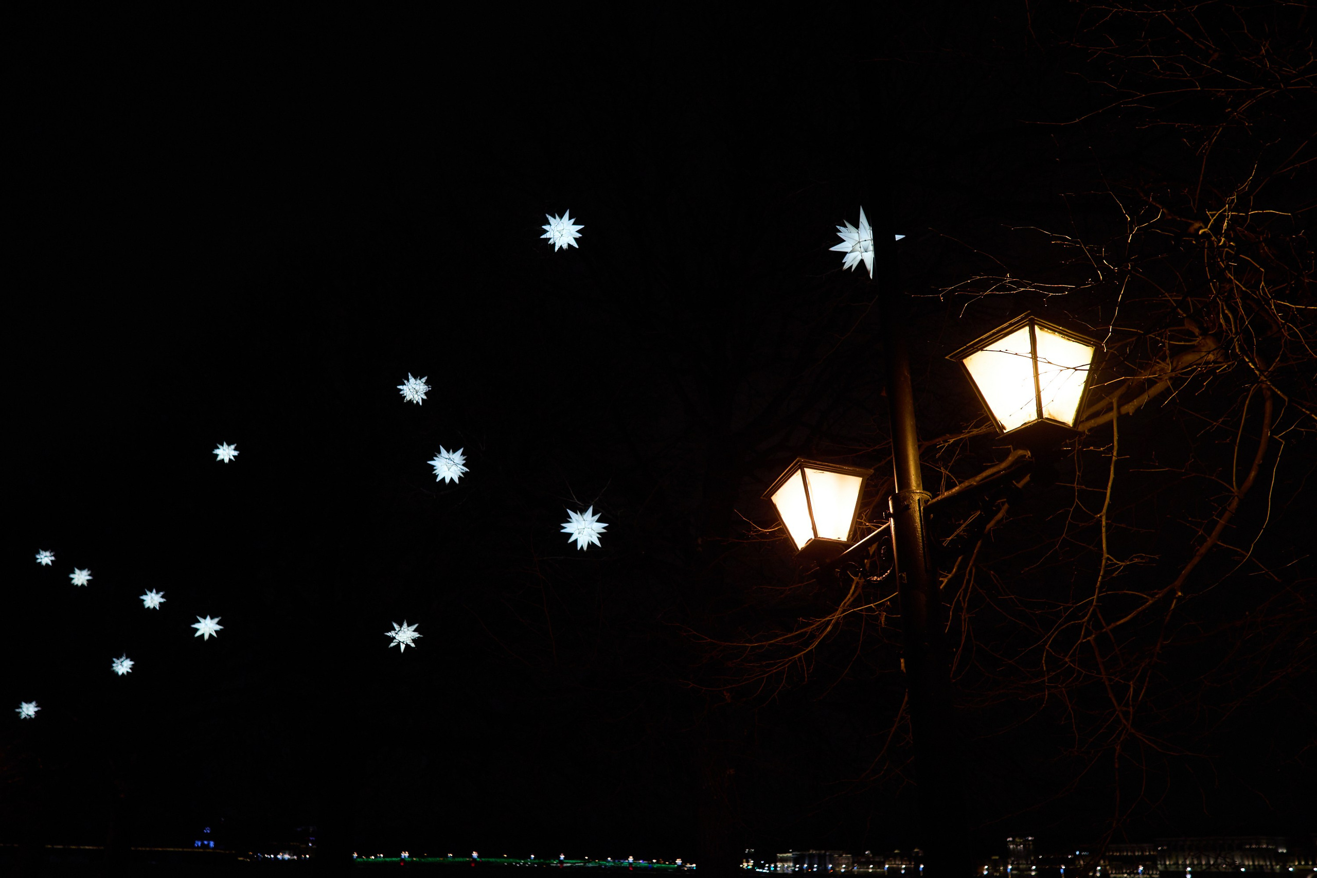 Рождество въ Санктъ-Петербургѣ. Фотографъ Сергѣевъ. Поймать мгновеніе