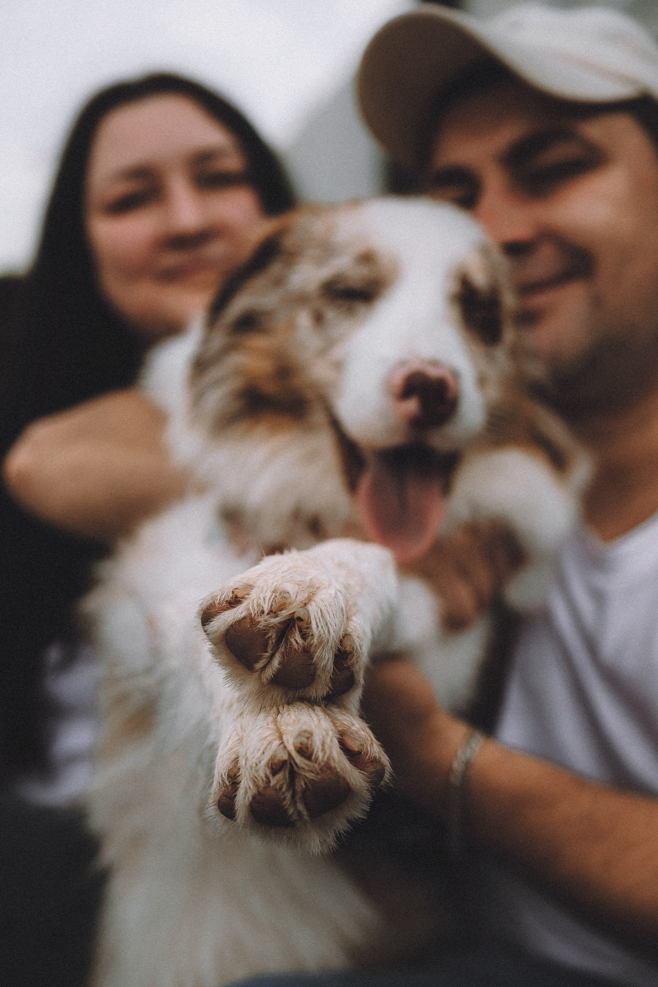 Один и его семья