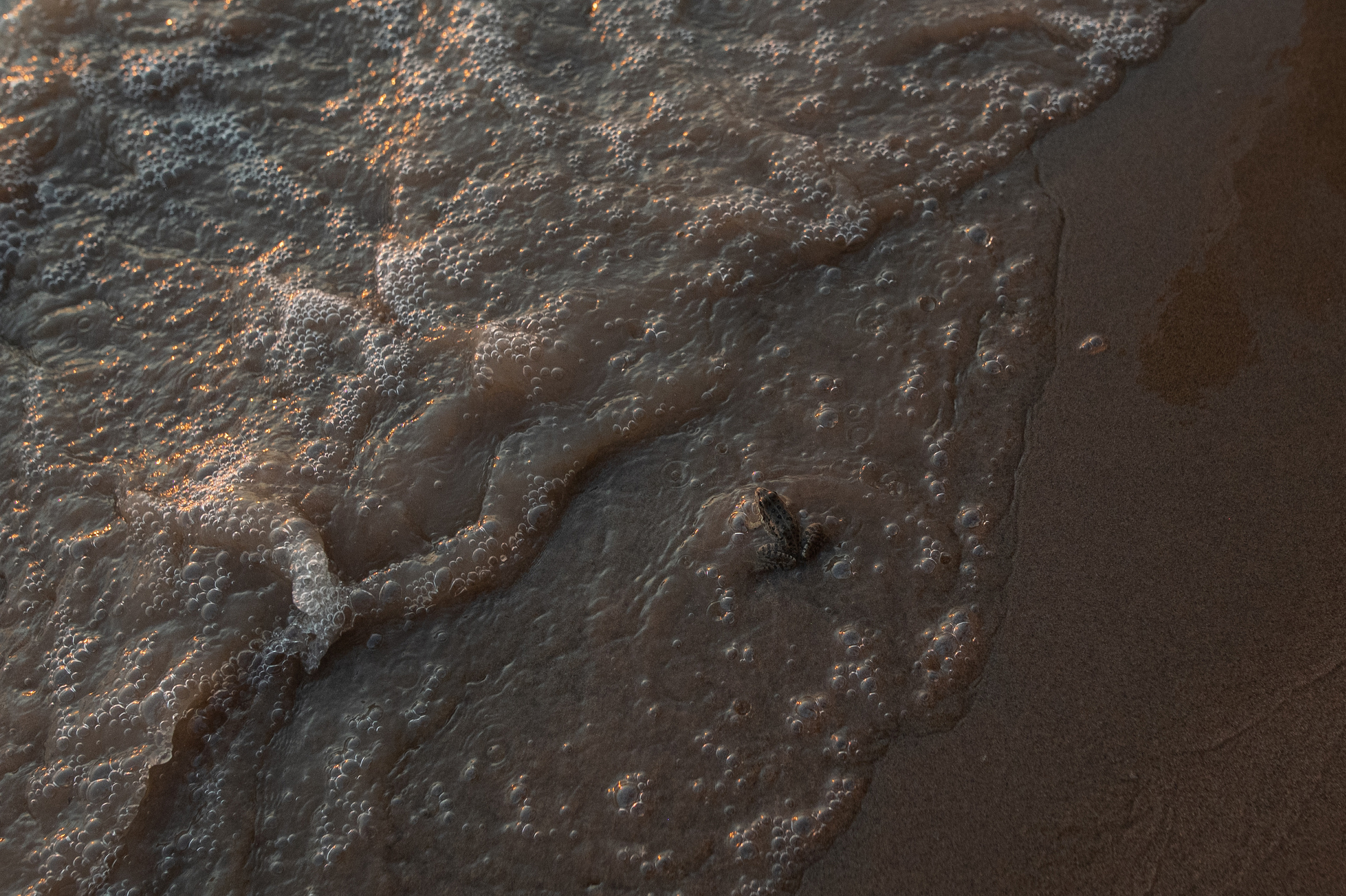 Семья Иванищенко. Www.ostermiller.ru