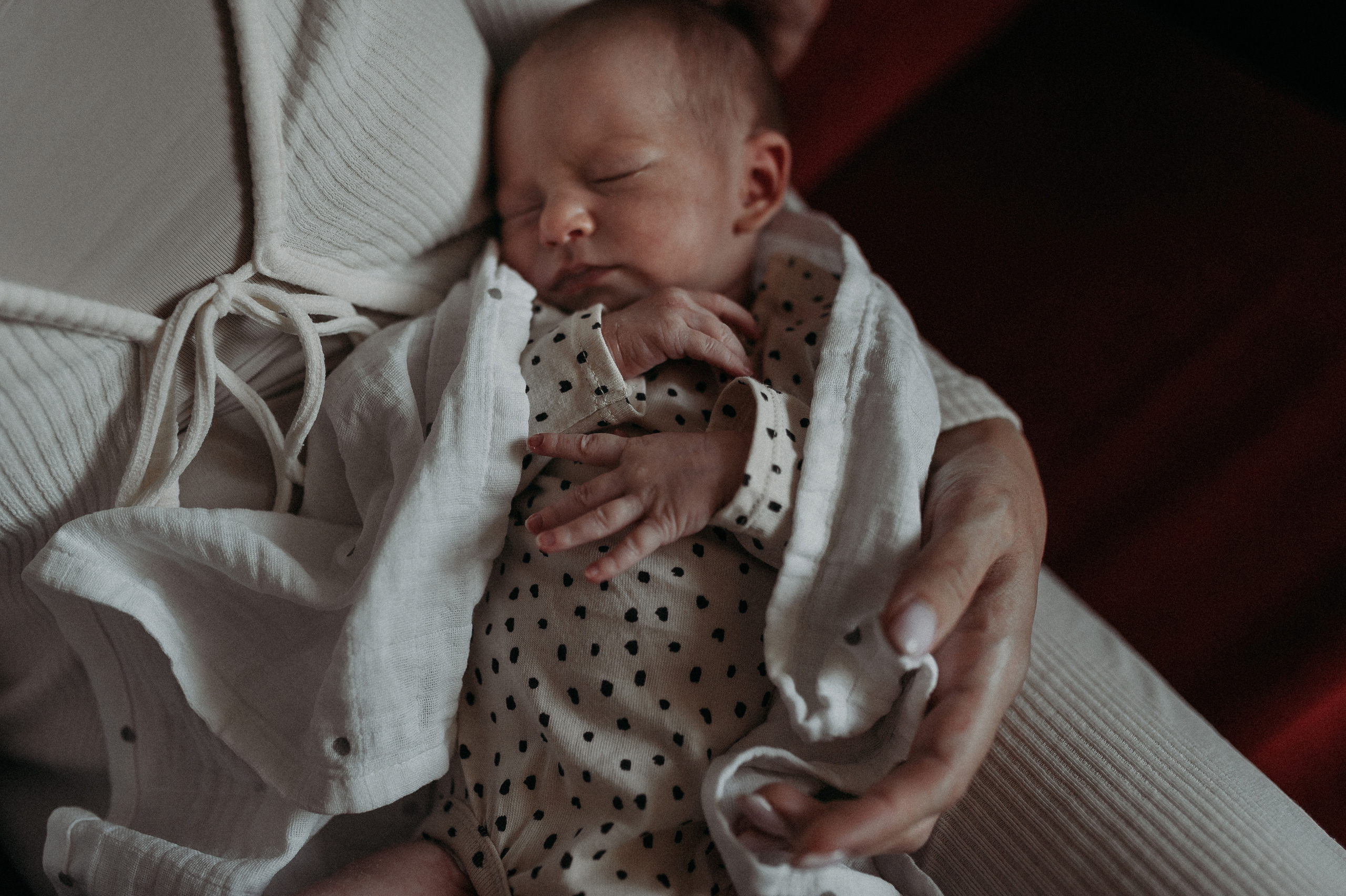 Первые мгновения дома. Www.ostermiller.ru