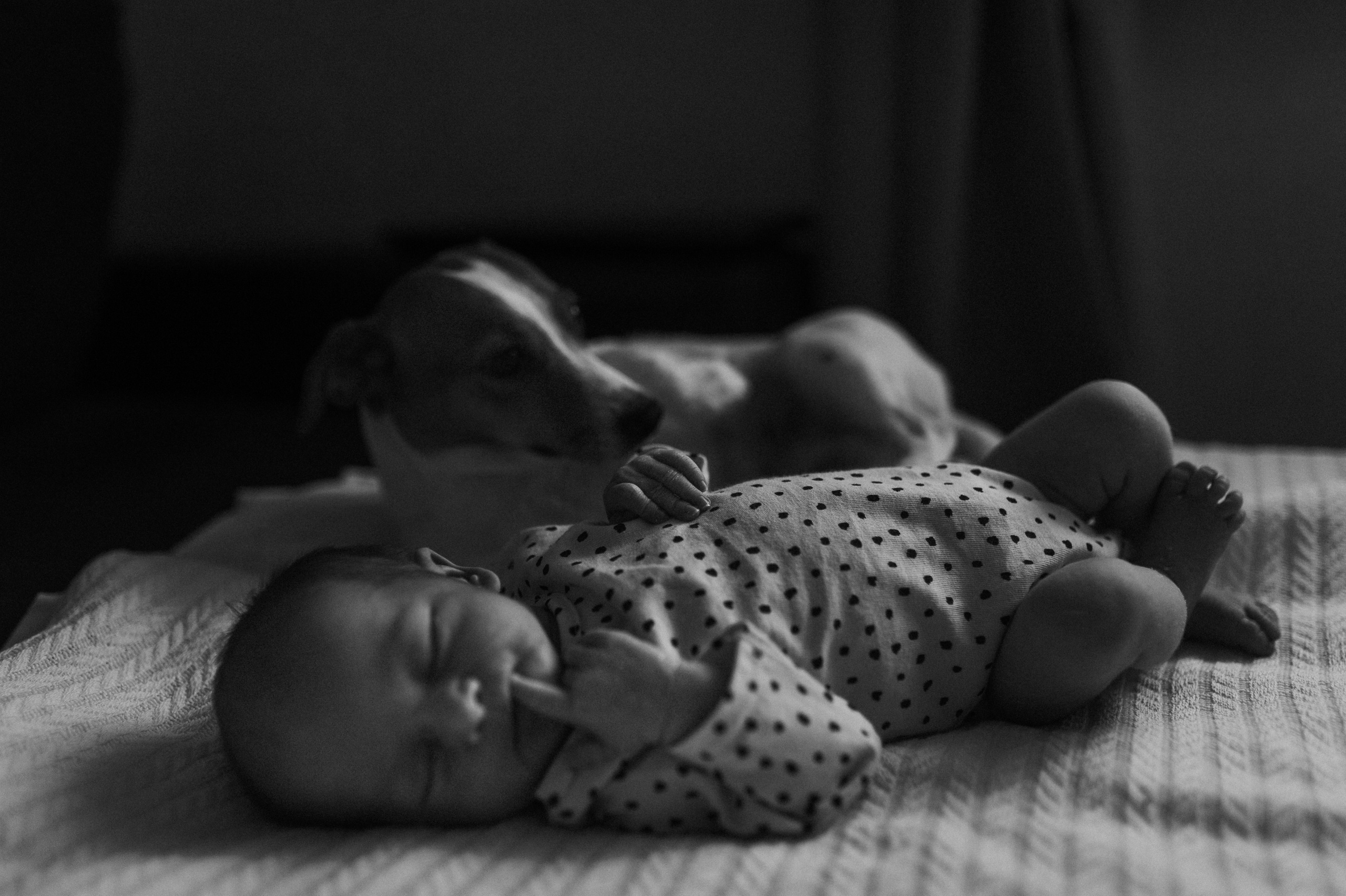 Первые мгновения дома. Www.ostermiller.ru