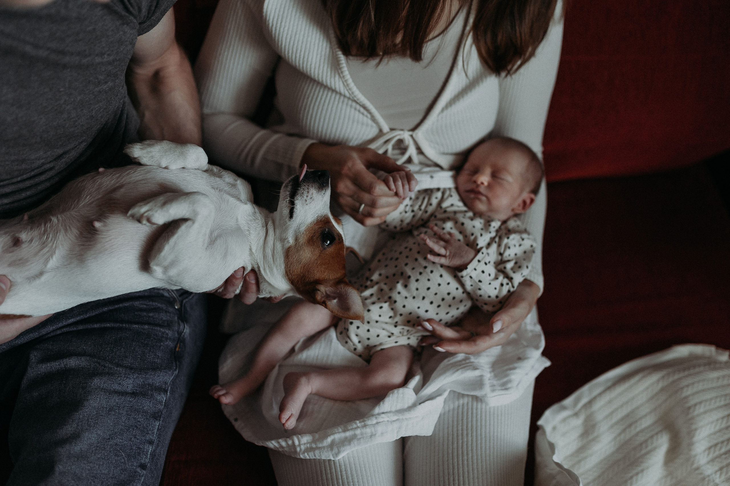 Первые мгновения дома. Www.ostermiller.ru