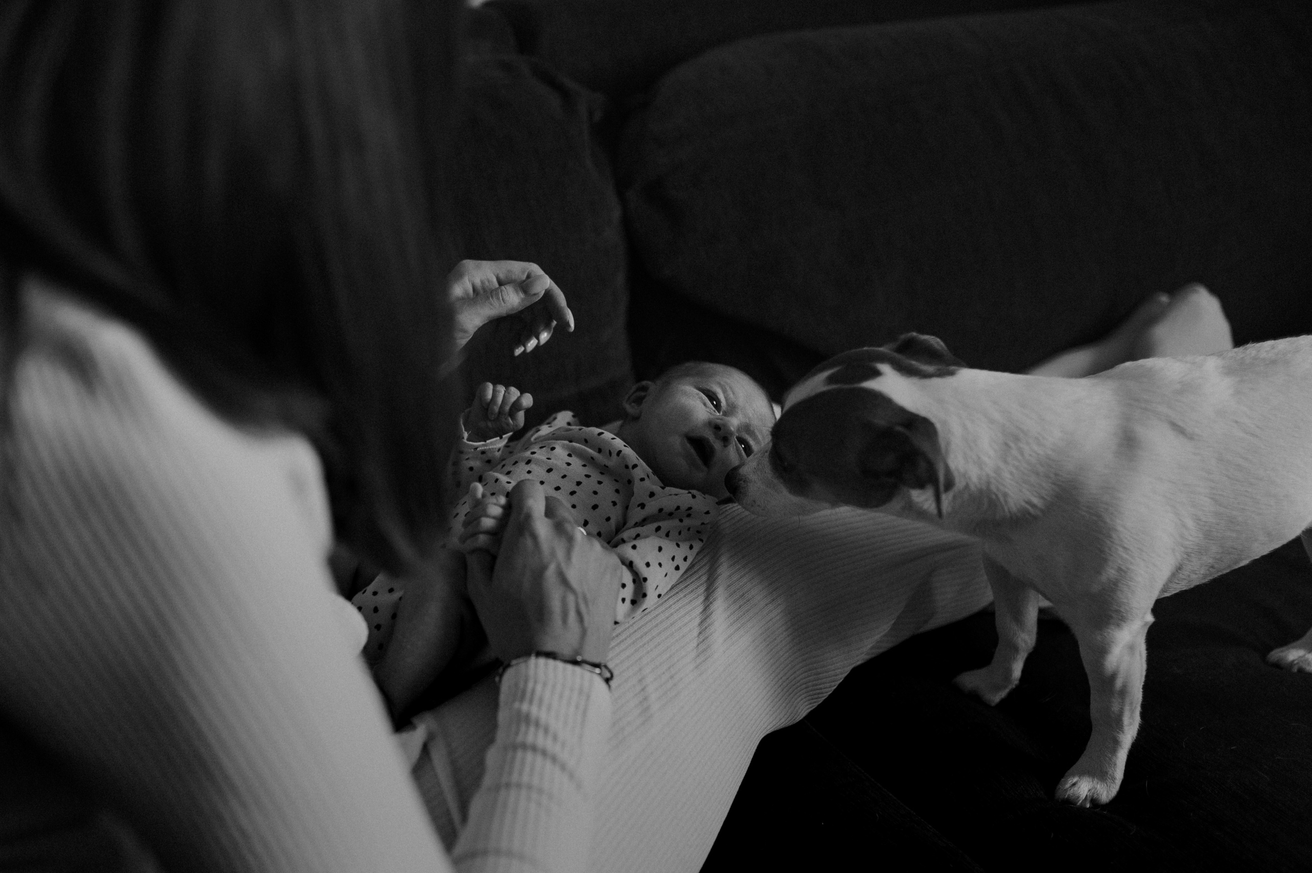 Первые мгновения дома. Www.ostermiller.ru