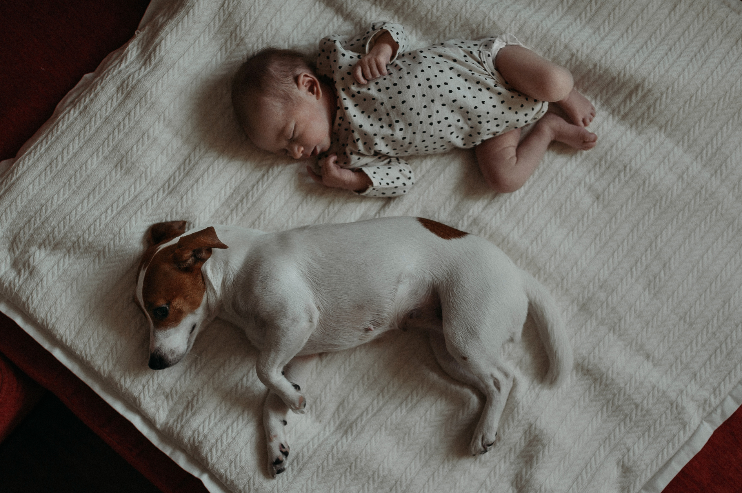 Первые мгновения дома. Www.ostermiller.ru