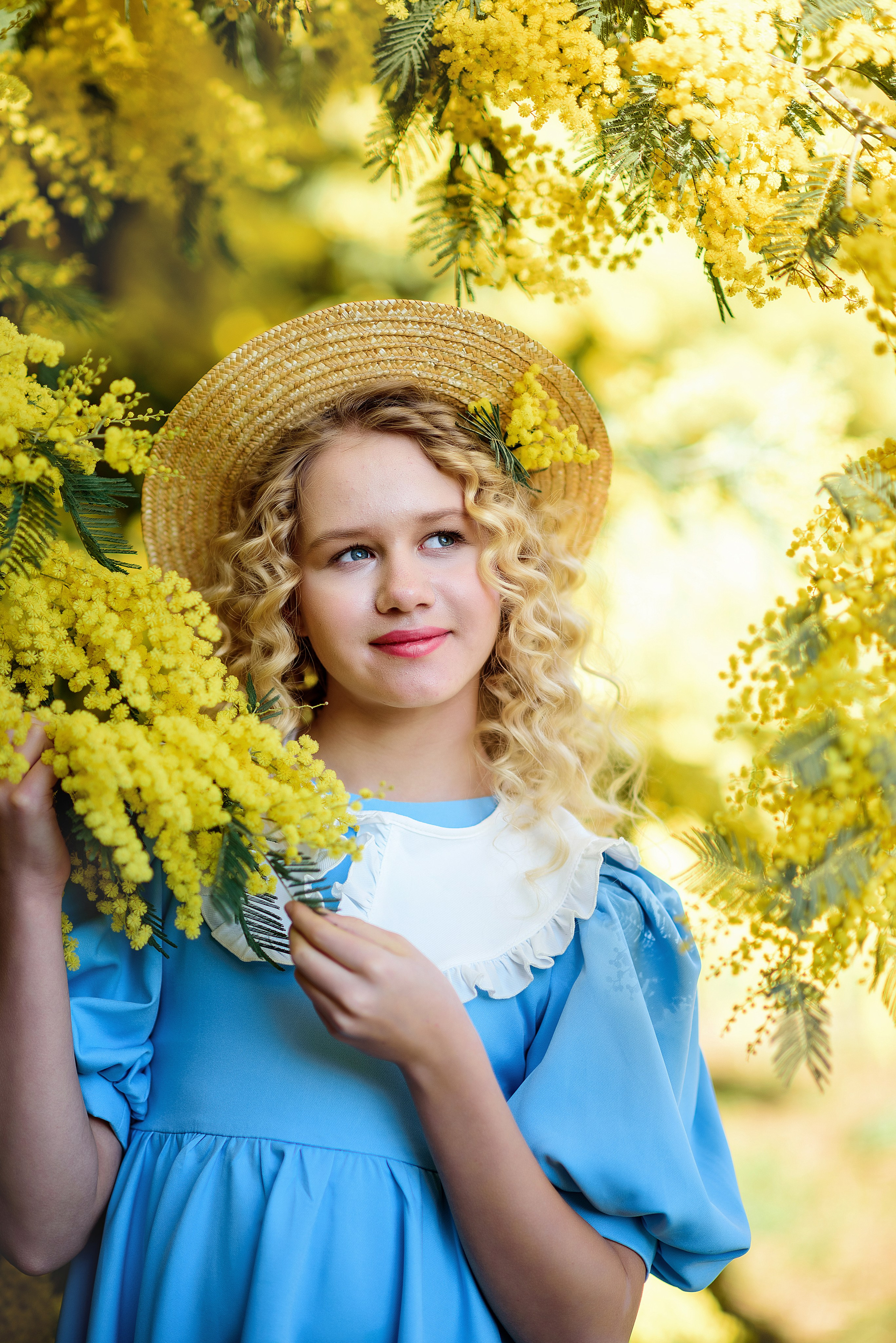 Мимоза. Фотограф в Москве Lidiya_Li_Photo