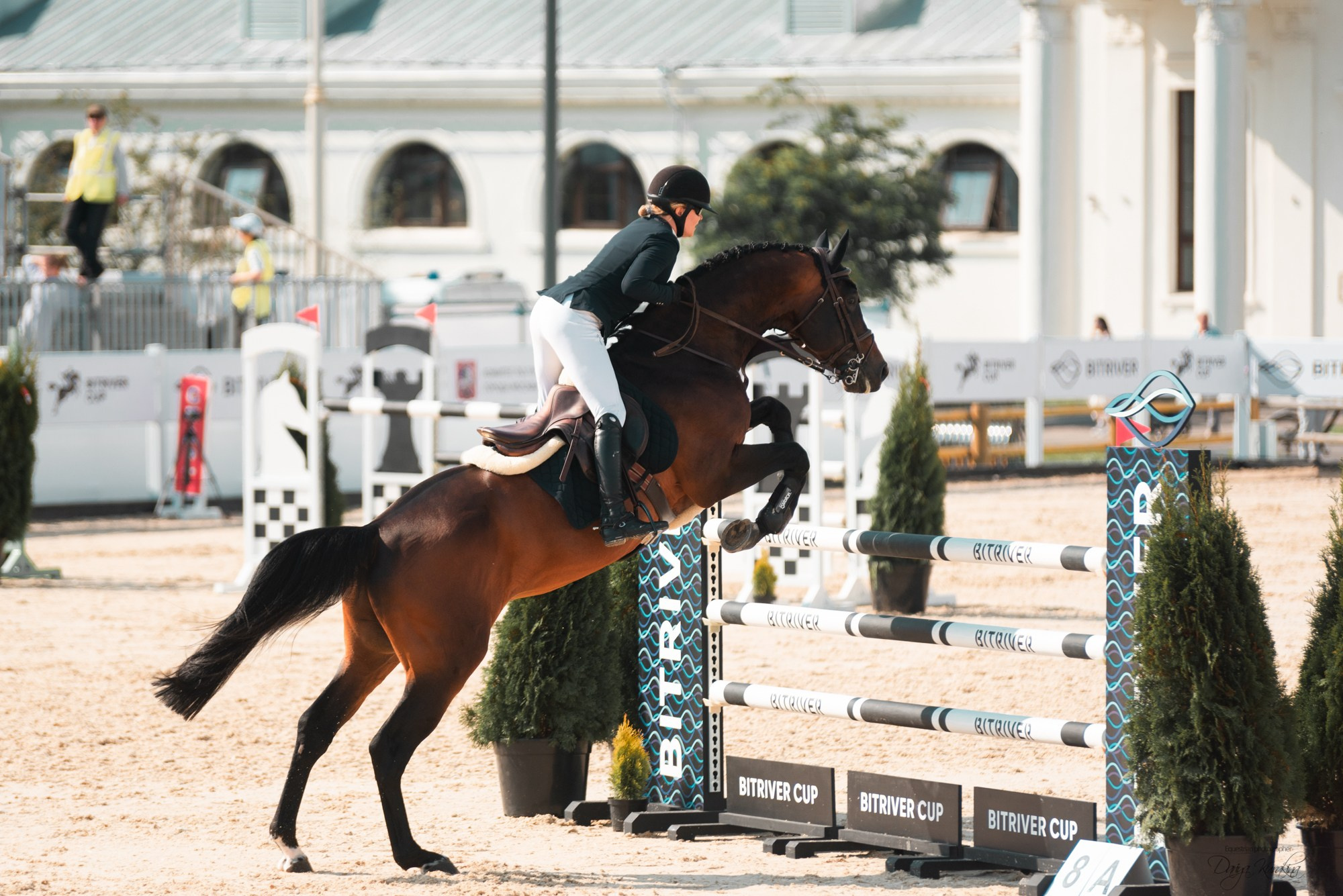 BITRIVER CUP 2023. Конный фотограф Куракина Дарья • Фотосессии с лошадьми