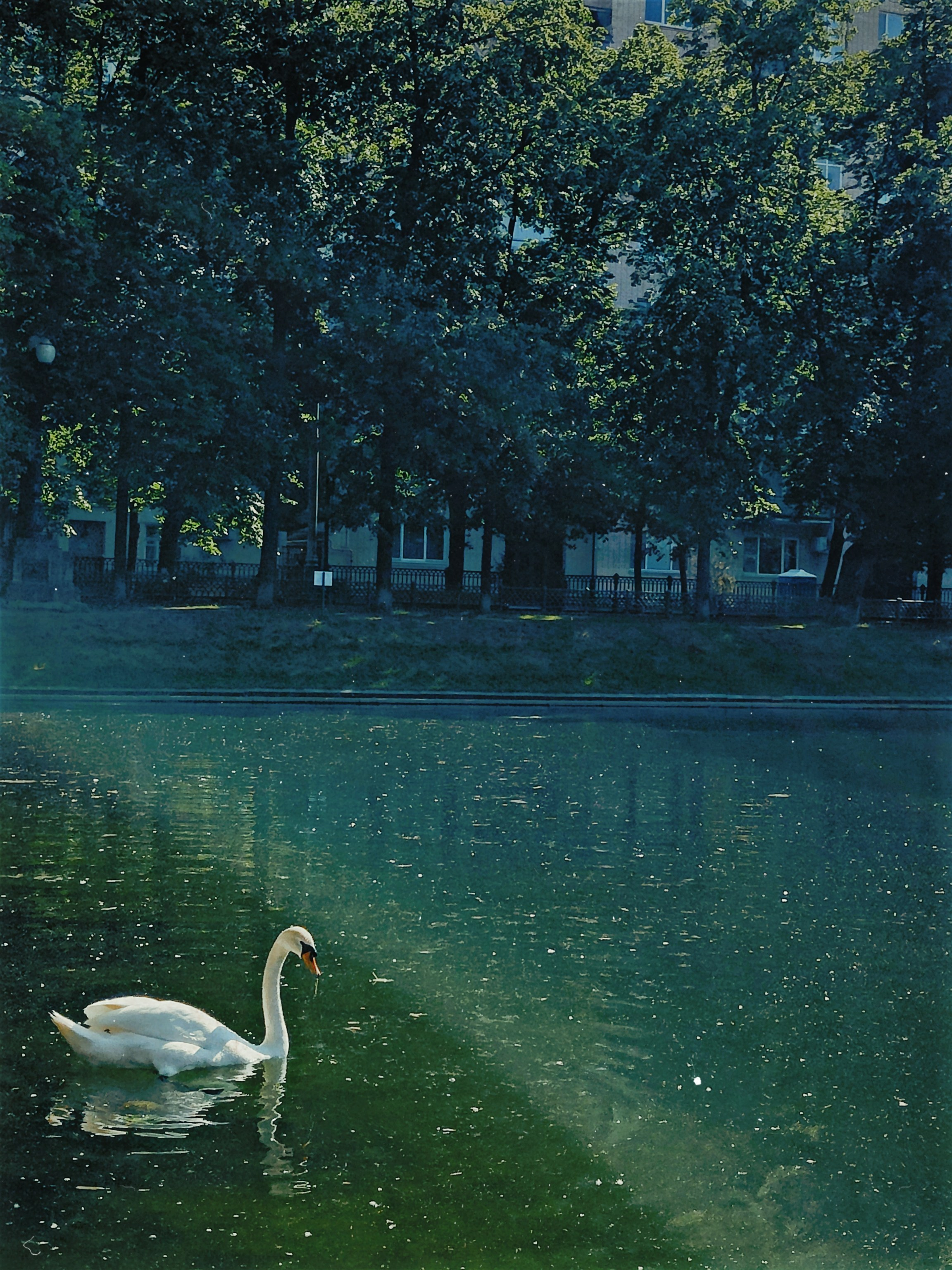 Street/travel. Visual artist Svetlana